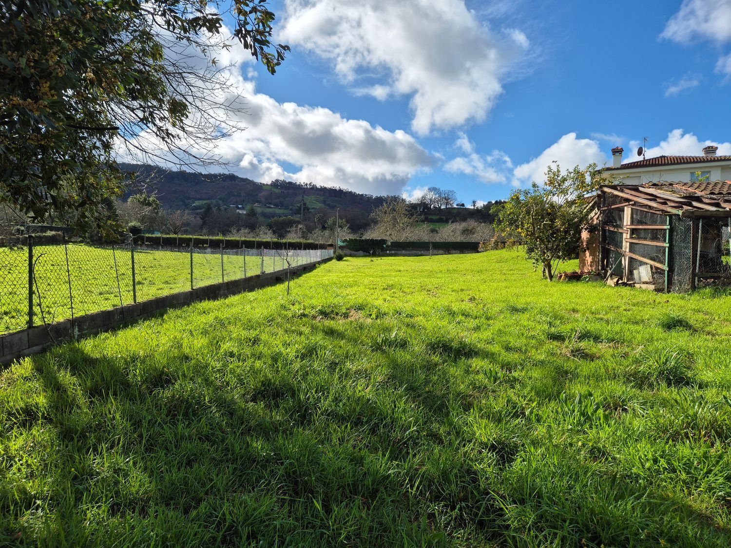 Fincas y solares-Venta-GijÃ³n-2153111-Foto-14