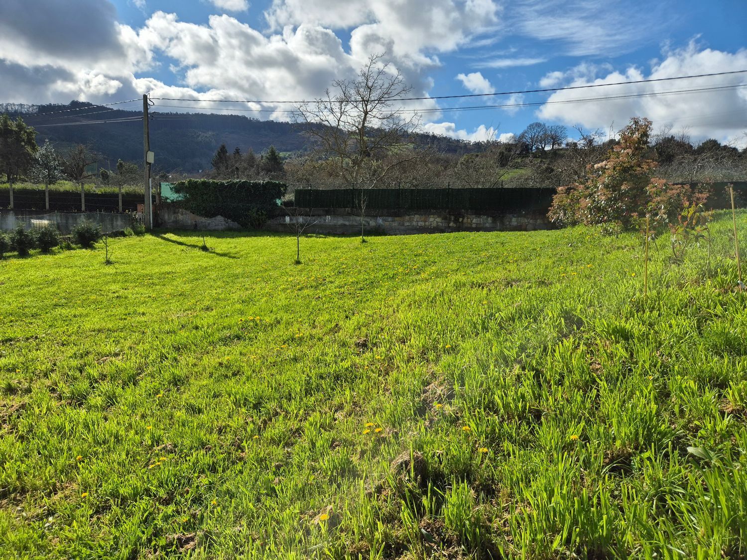 Fincas y solares-Venta-GijÃ³n-2153111-Foto-19