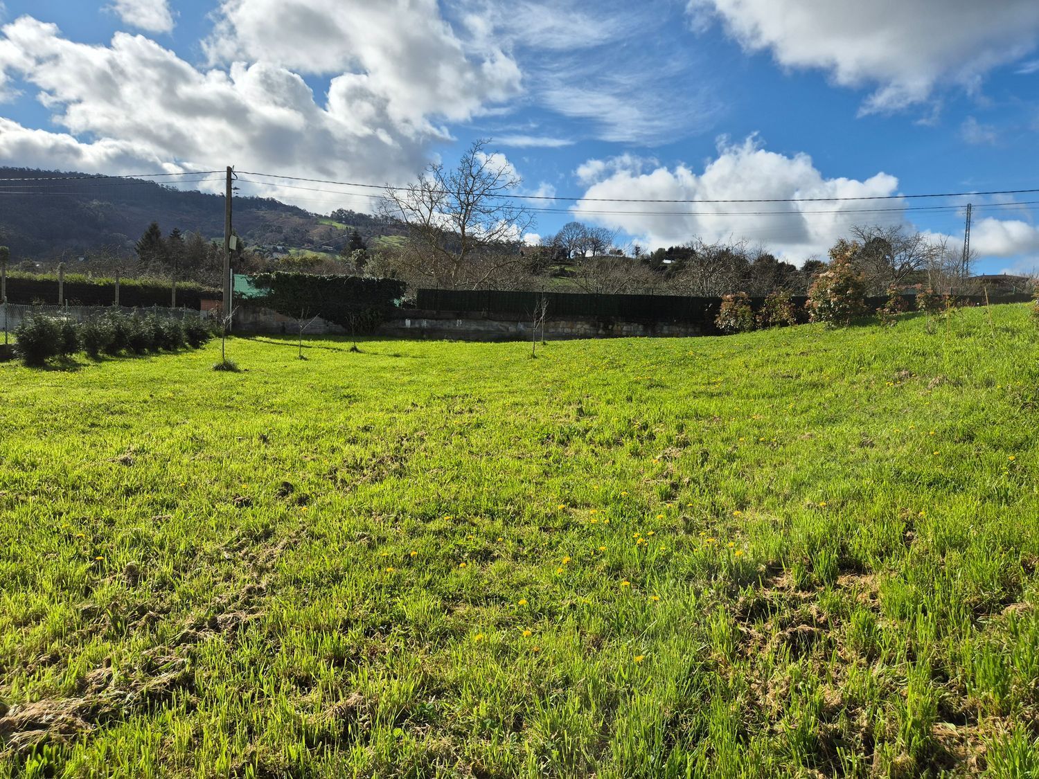 Fincas y solares-Venta-GijÃ³n-2153111-Foto-18