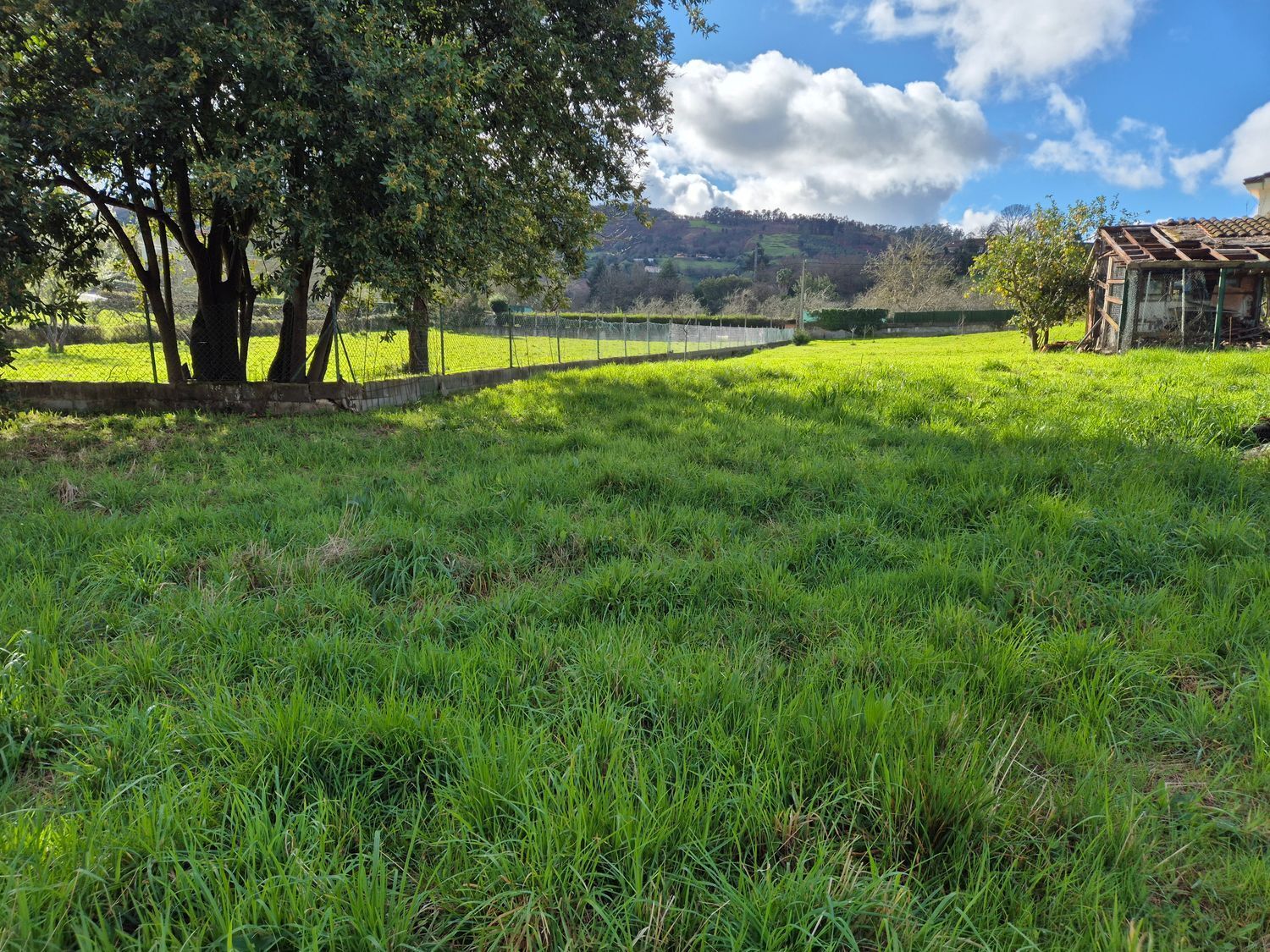 Fincas y solares-Venta-GijÃ³n-2153111-Foto-17