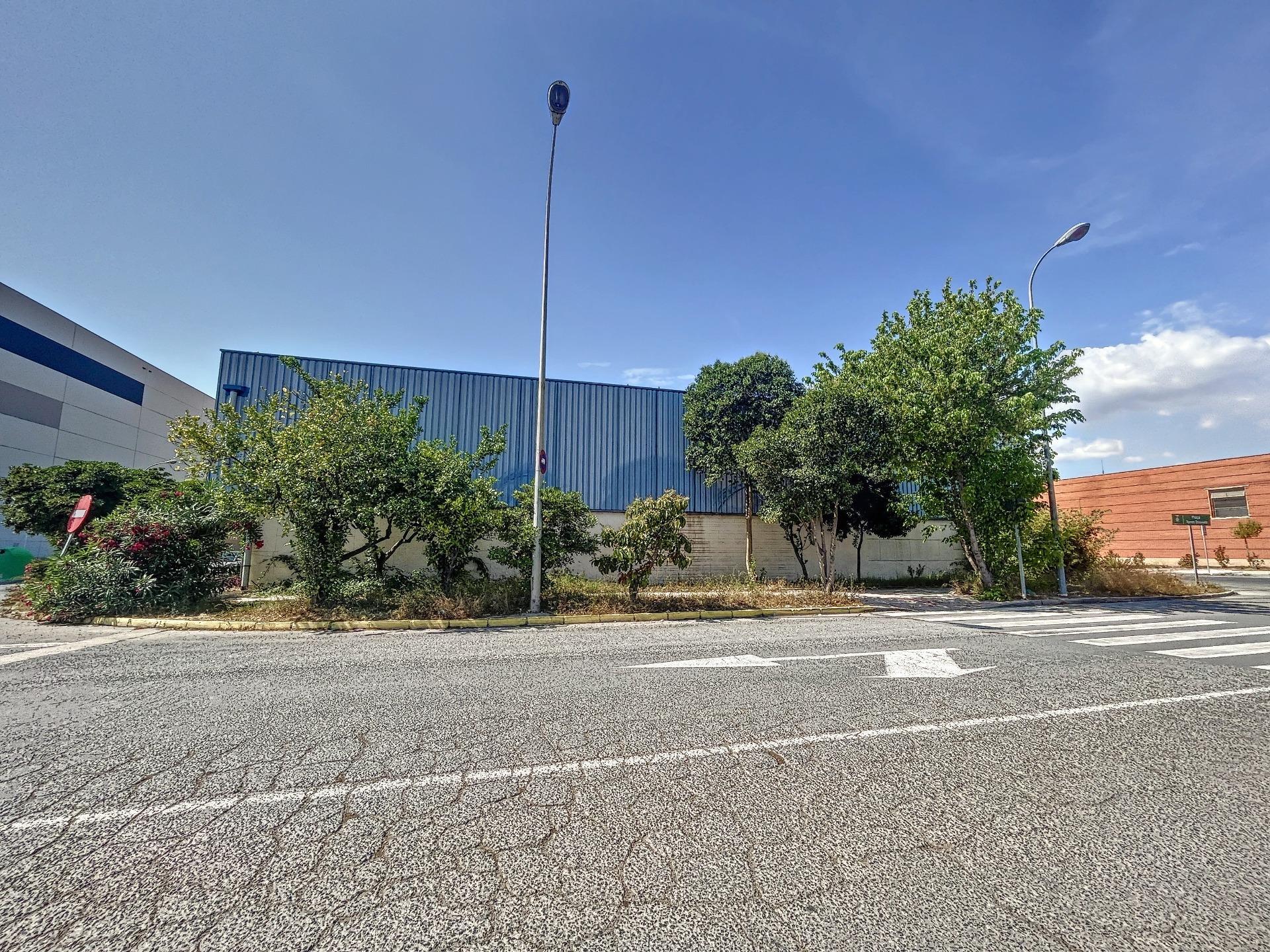 Naves-Venta-Sagunto-1385717-Foto-23