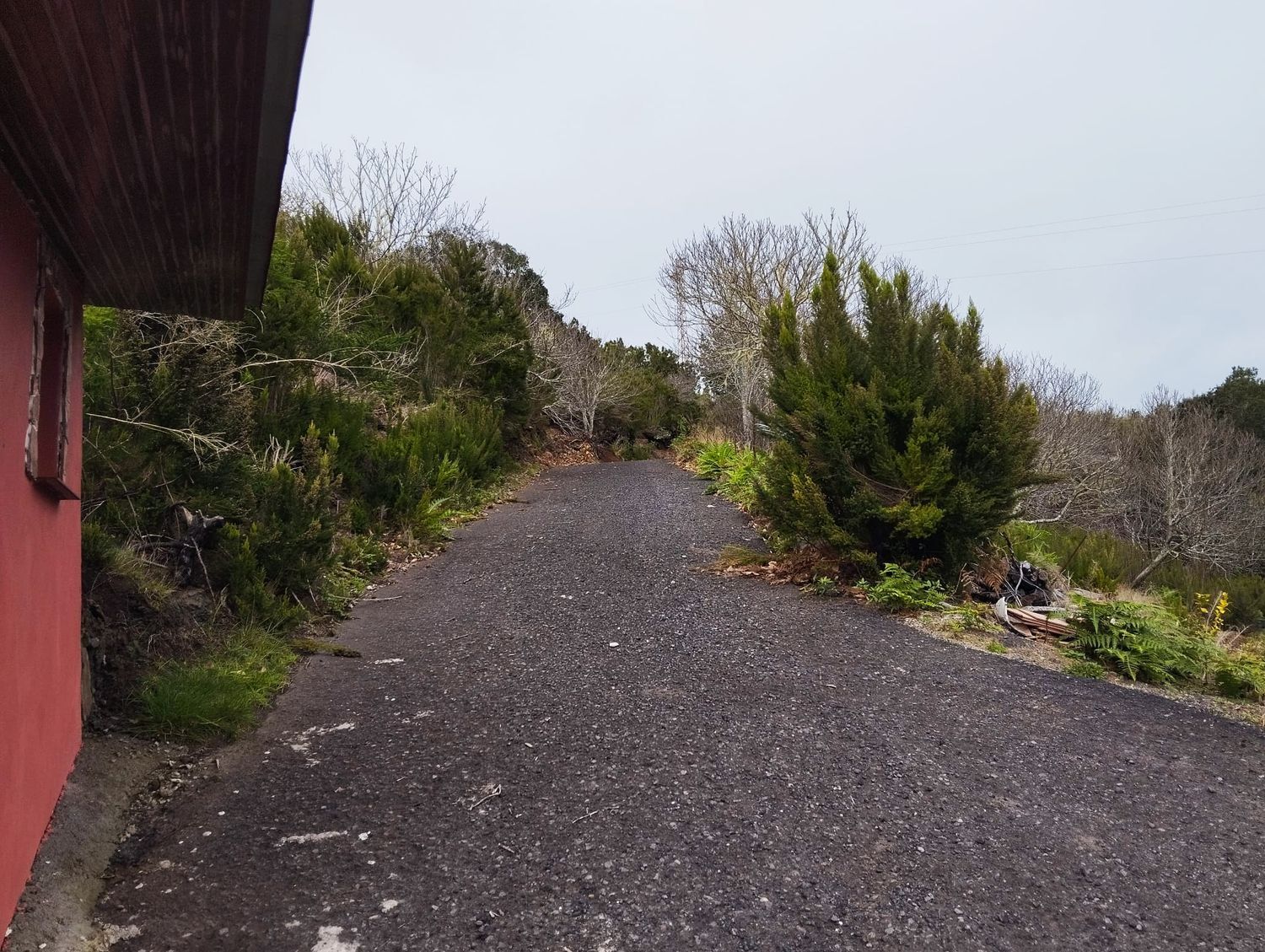 Pisos-Venta-Agulo-2172818-Foto-8