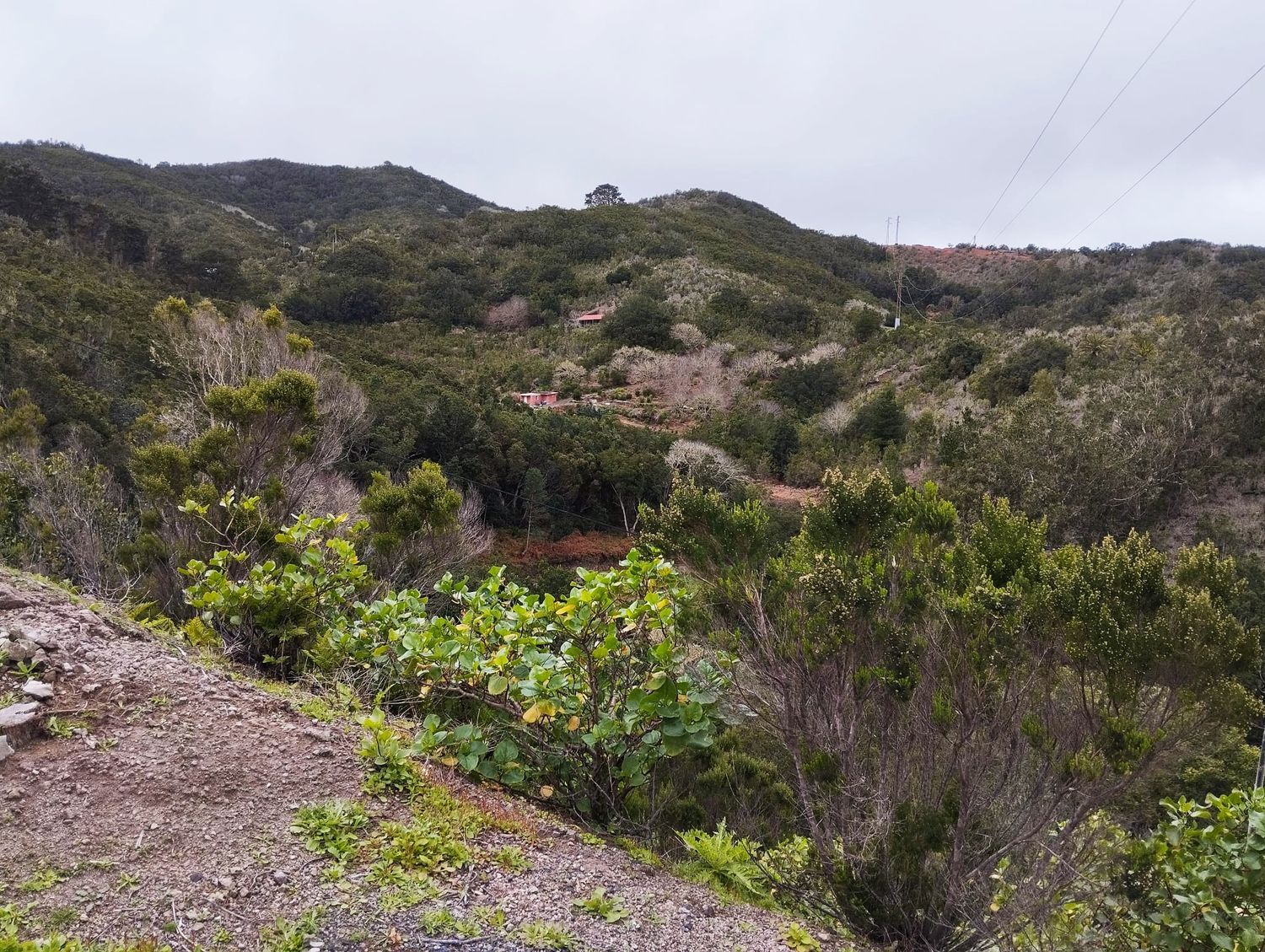 Pisos-Venta-Agulo-2172818-Foto-13