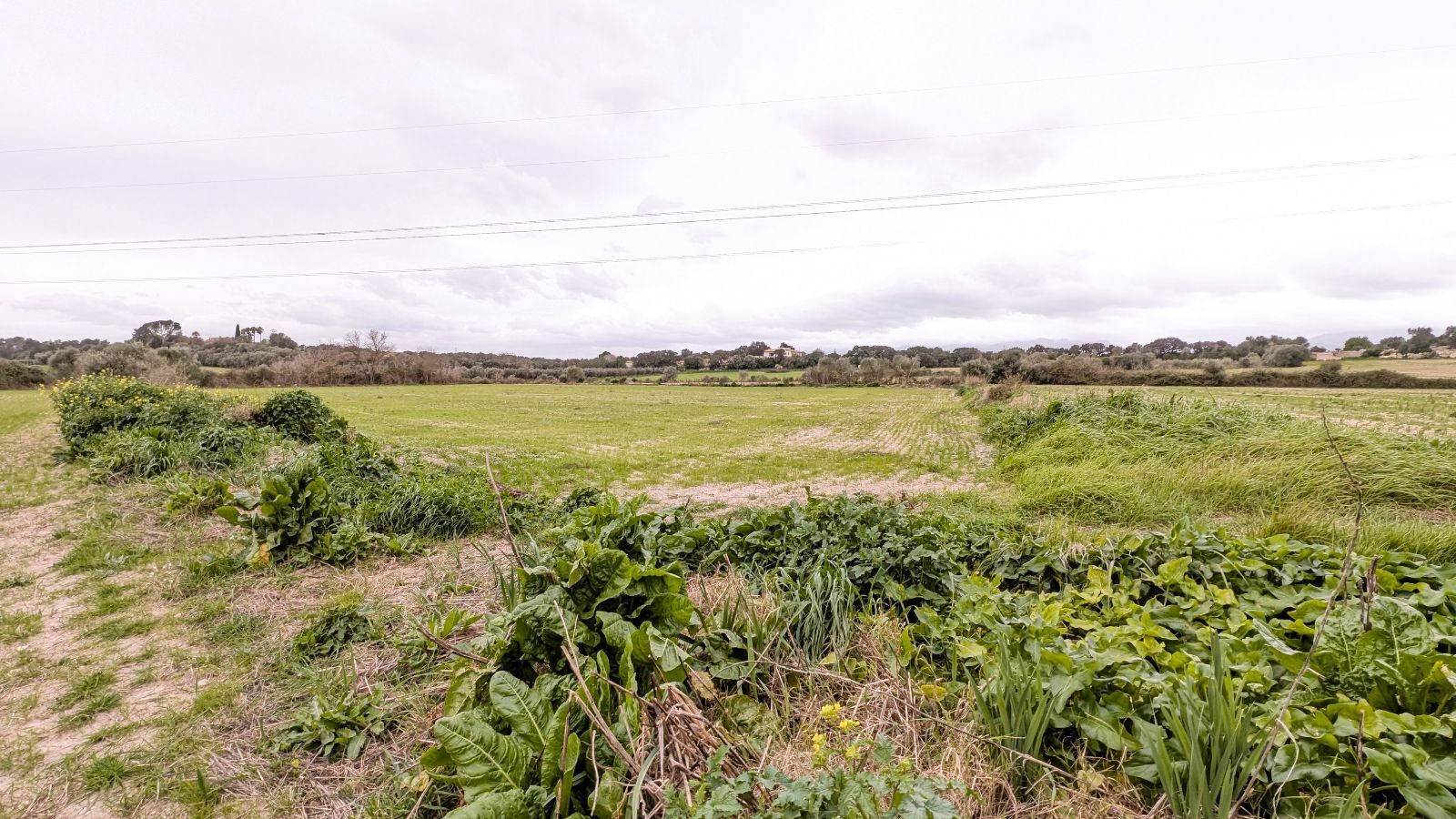 Fincas y solares-Venta-Muro de Alcoy-2092814-Foto-11