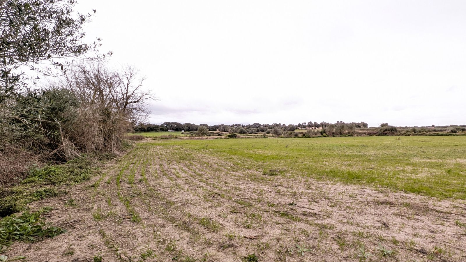 Fincas y solares-Venta-Muro de Alcoy-2092814-Foto-21