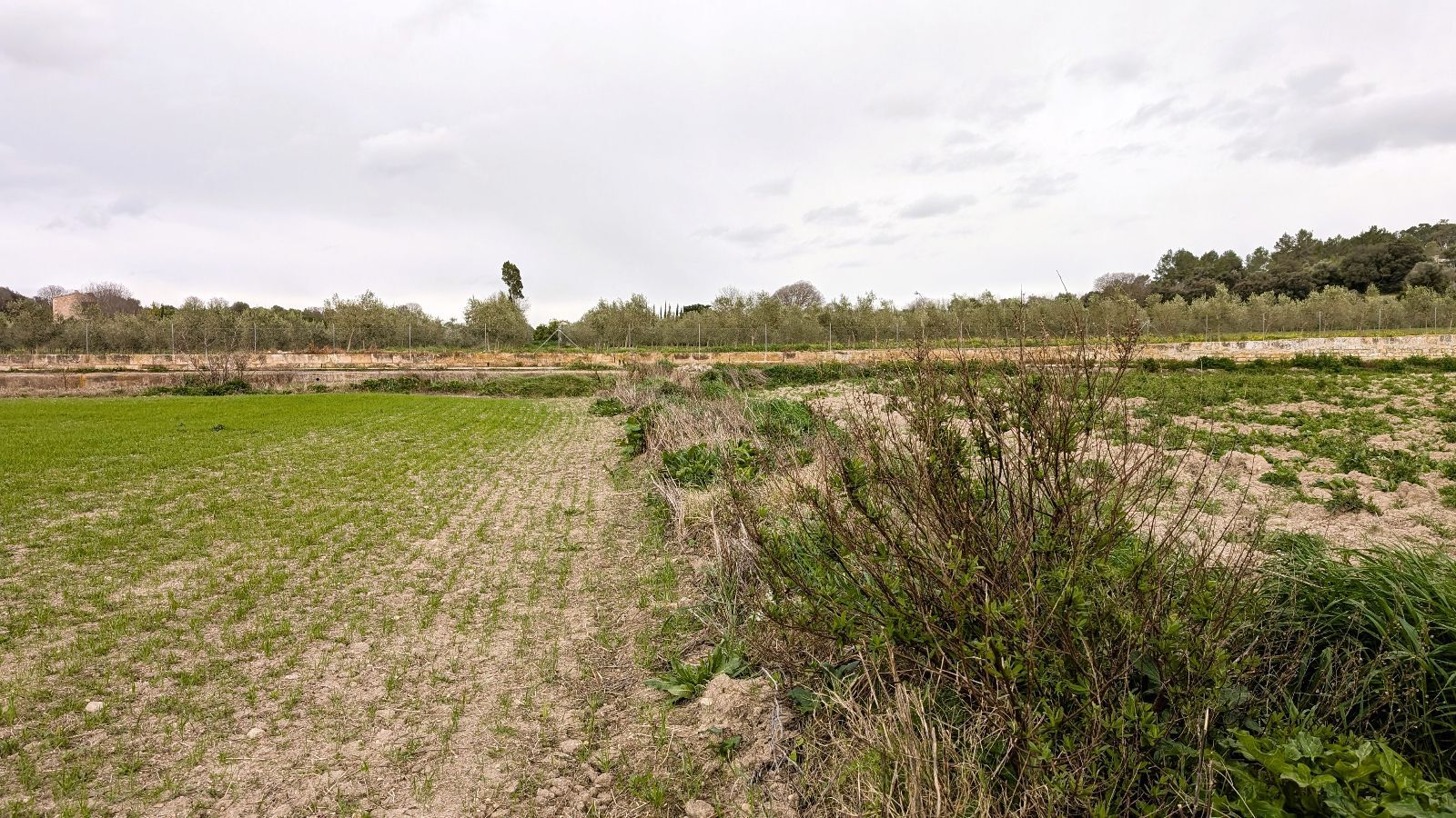 Fincas y solares-Venta-Muro de Alcoy-2092814-Foto-24