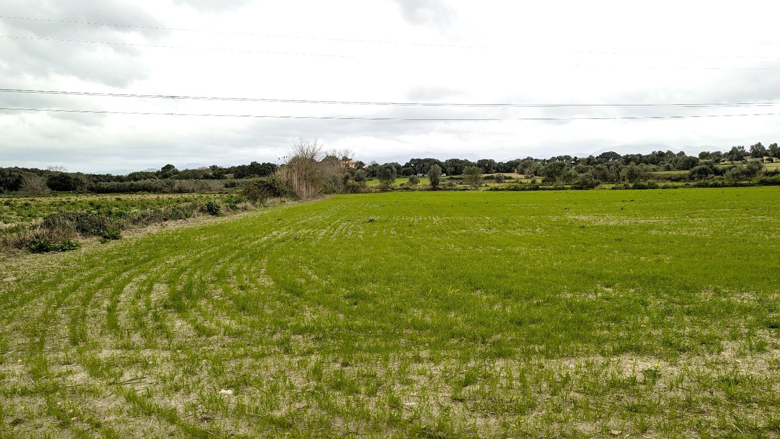 Fincas y solares-Venta-Muro de Alcoy-2092814-Foto-25