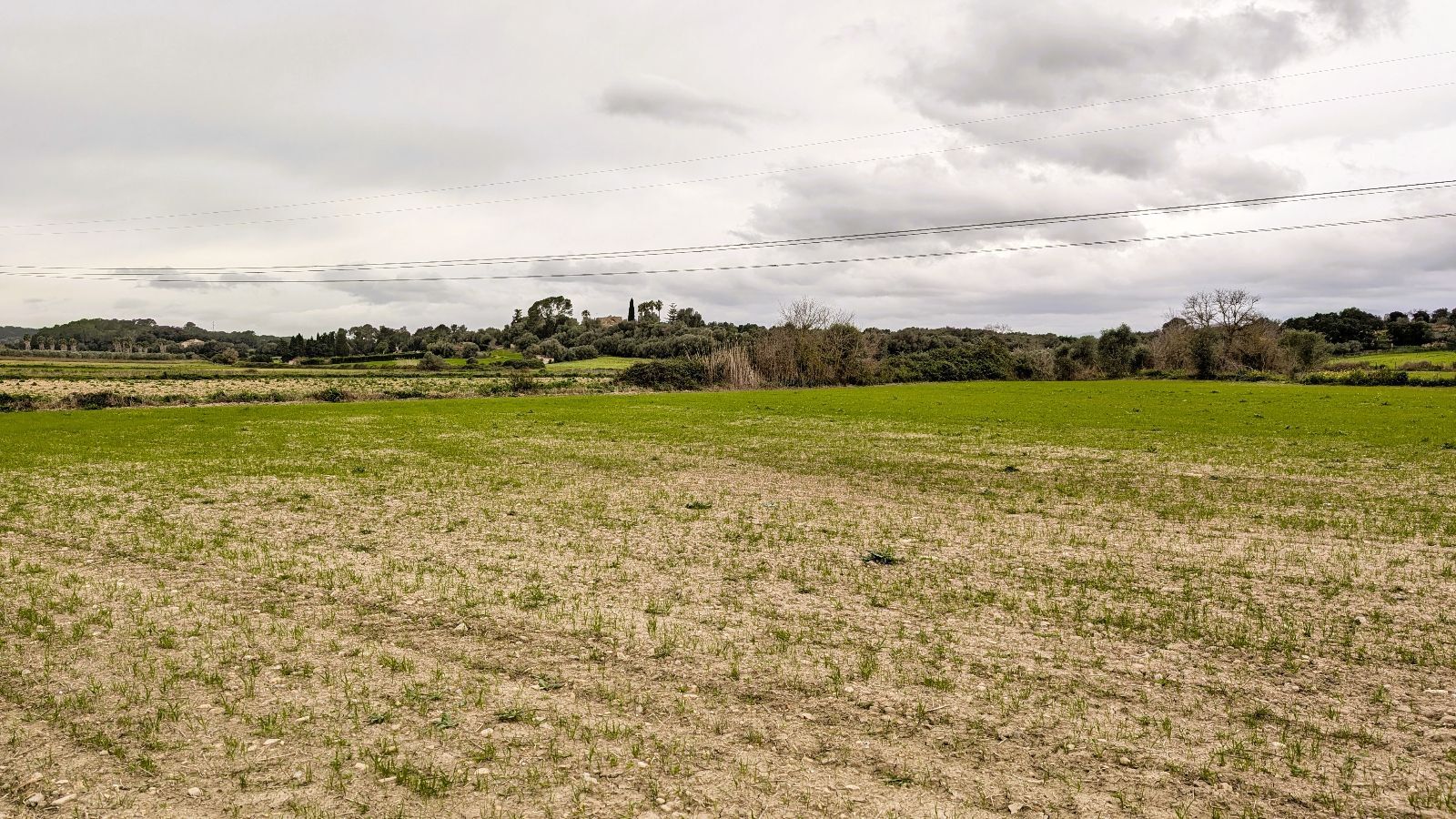 Fincas y solares-Venta-Muro de Alcoy-2092814-Foto-27