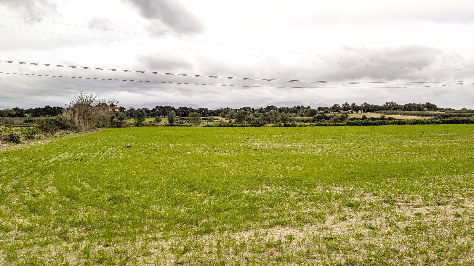 Fincas y solares-Venta-Muro de Alcoy-2092814-Foto-26