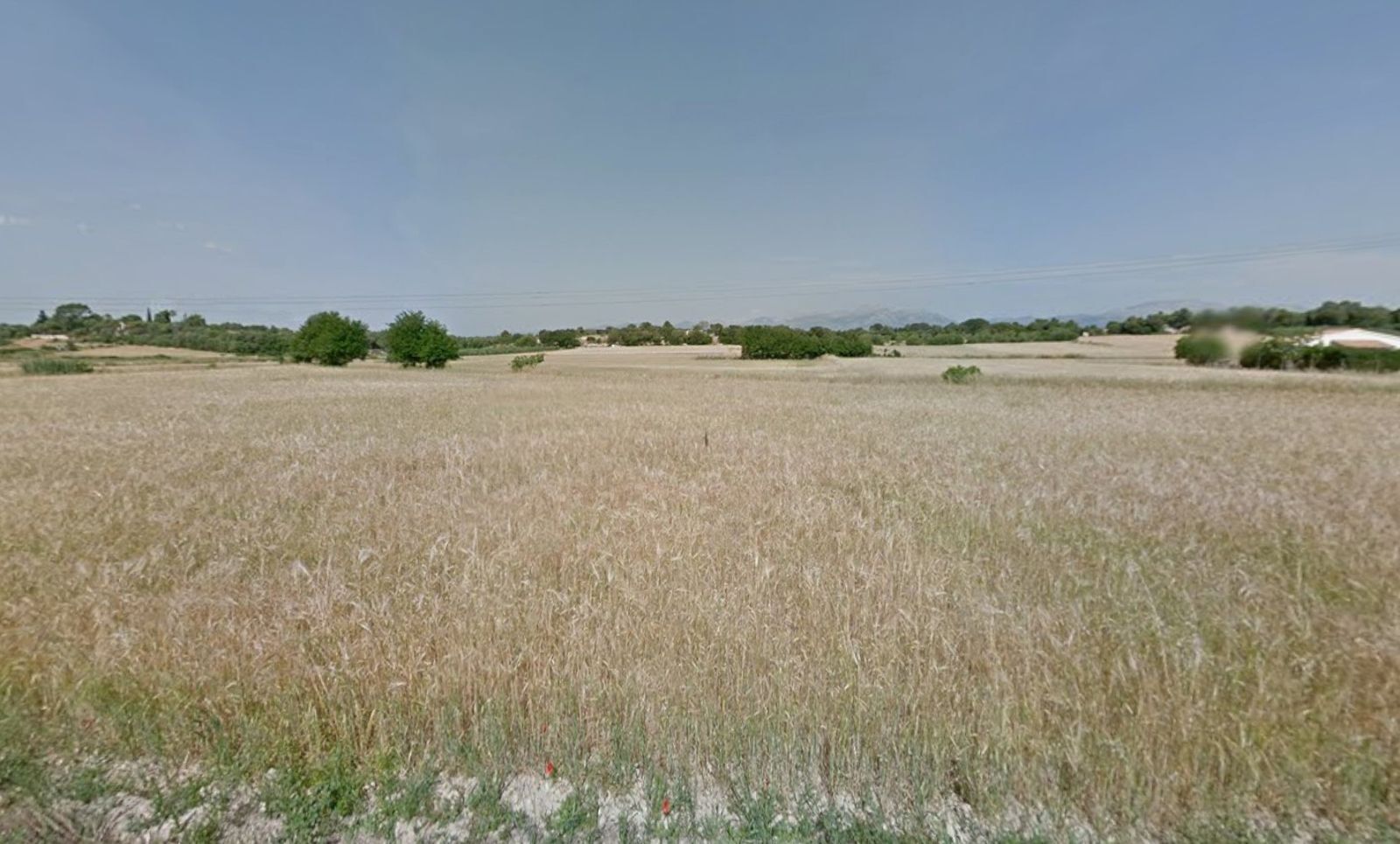 Fincas y solares-Venta-Muro de Alcoy-2092814-Foto-34