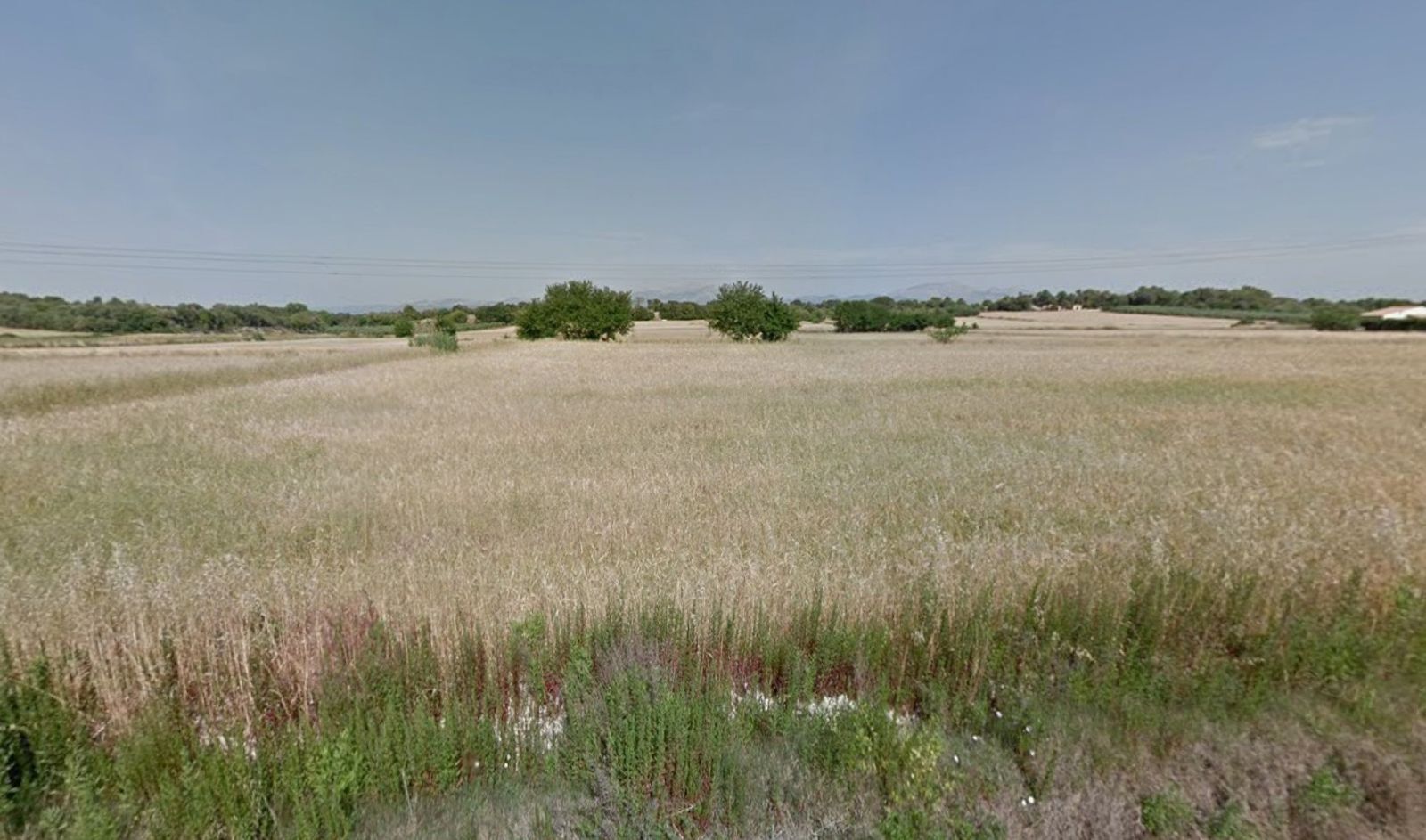 Fincas y solares-Venta-Muro de Alcoy-2092814-Foto-33