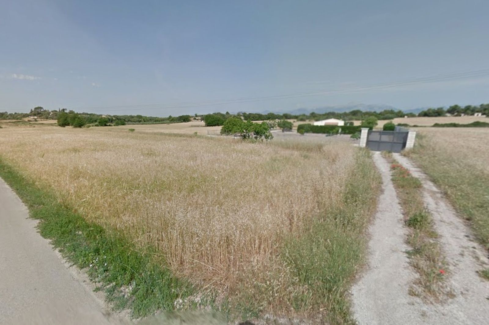 Fincas y solares-Venta-Muro de Alcoy-2092814-Foto-36