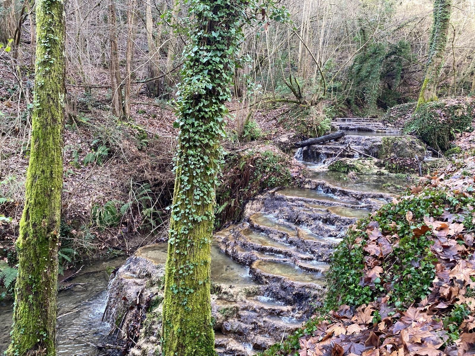 Casas o chalets-Venta-Sant Aniol de Finestres-2153138-Foto-39