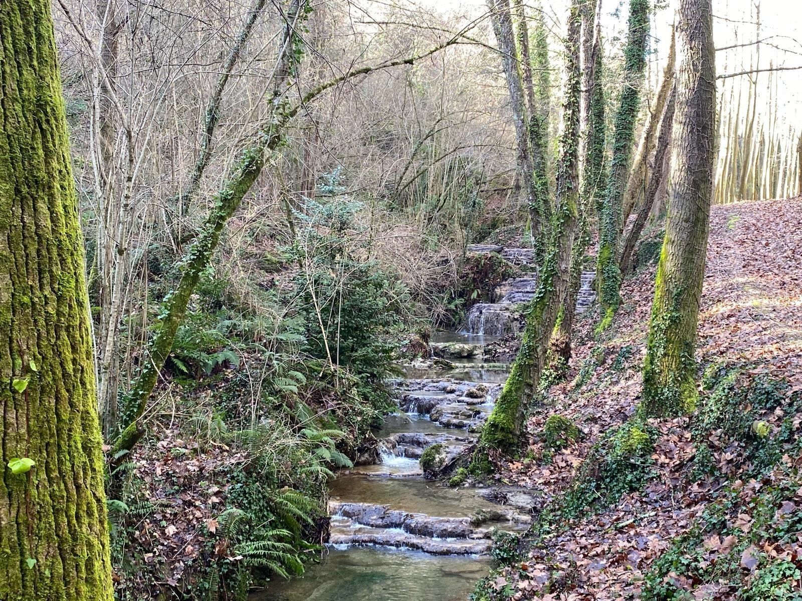 Casas o chalets-Venta-Sant Aniol de Finestres-2153138-Foto-38