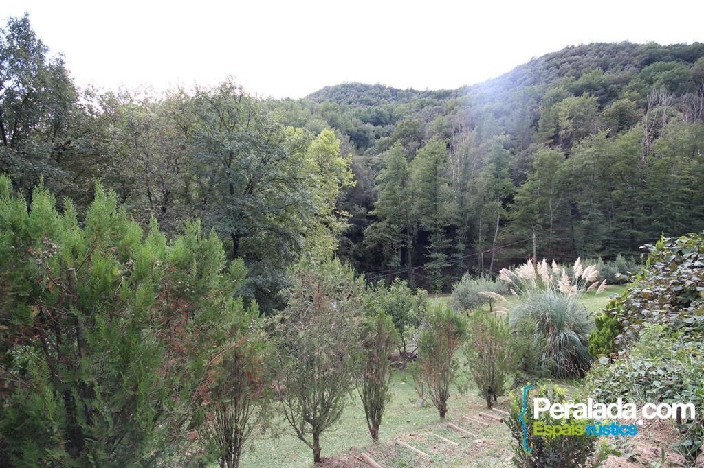 Casas o chalets-Venta-Sant Aniol de Finestres-2153138-Foto-42