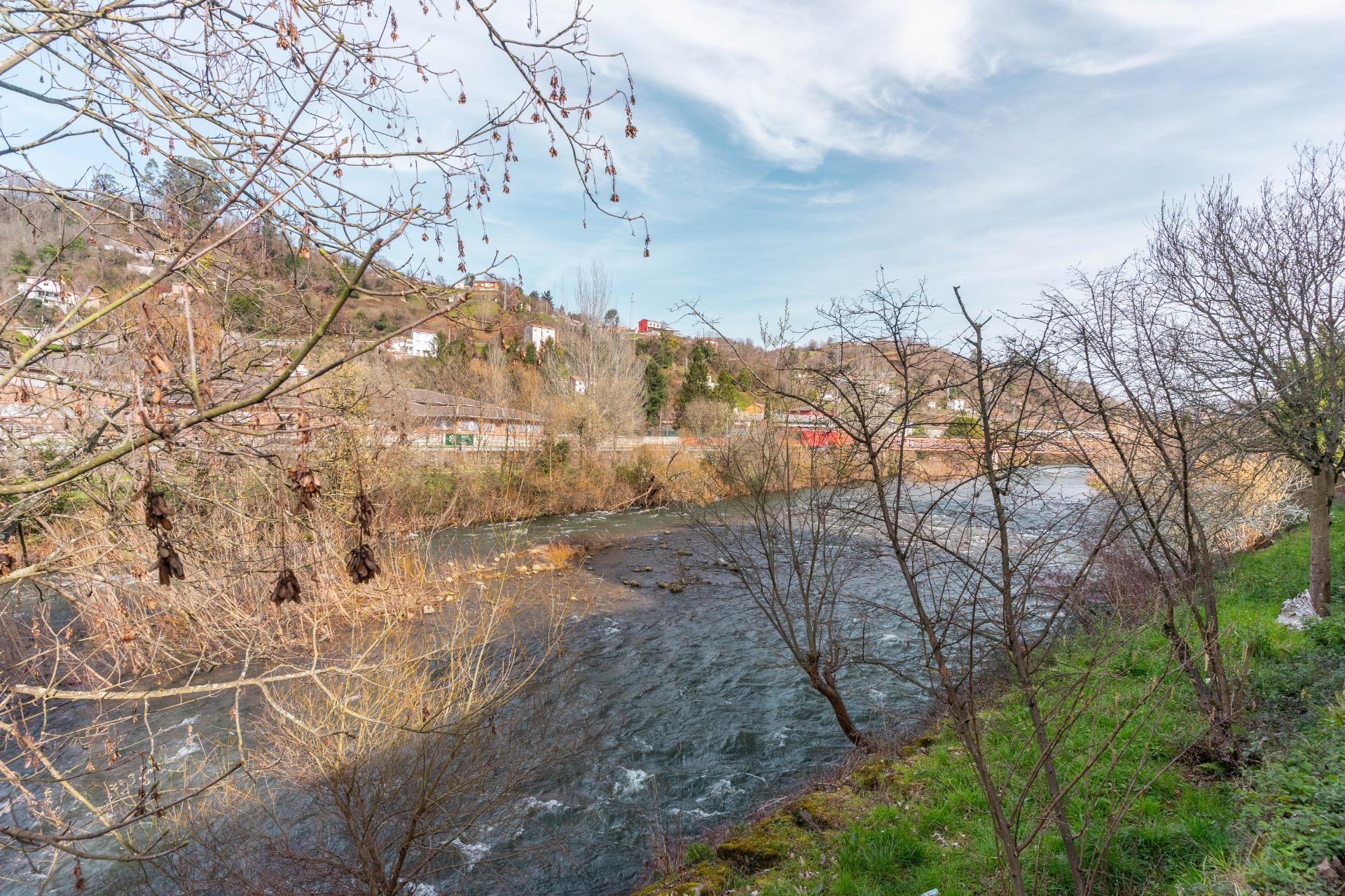 Edificios-Venta-Langreo-2172827-Foto-37