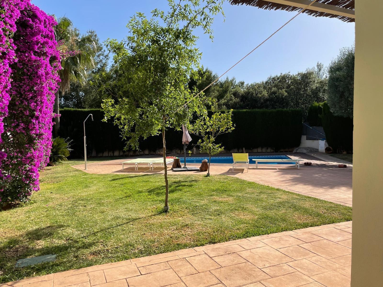 Foto 41