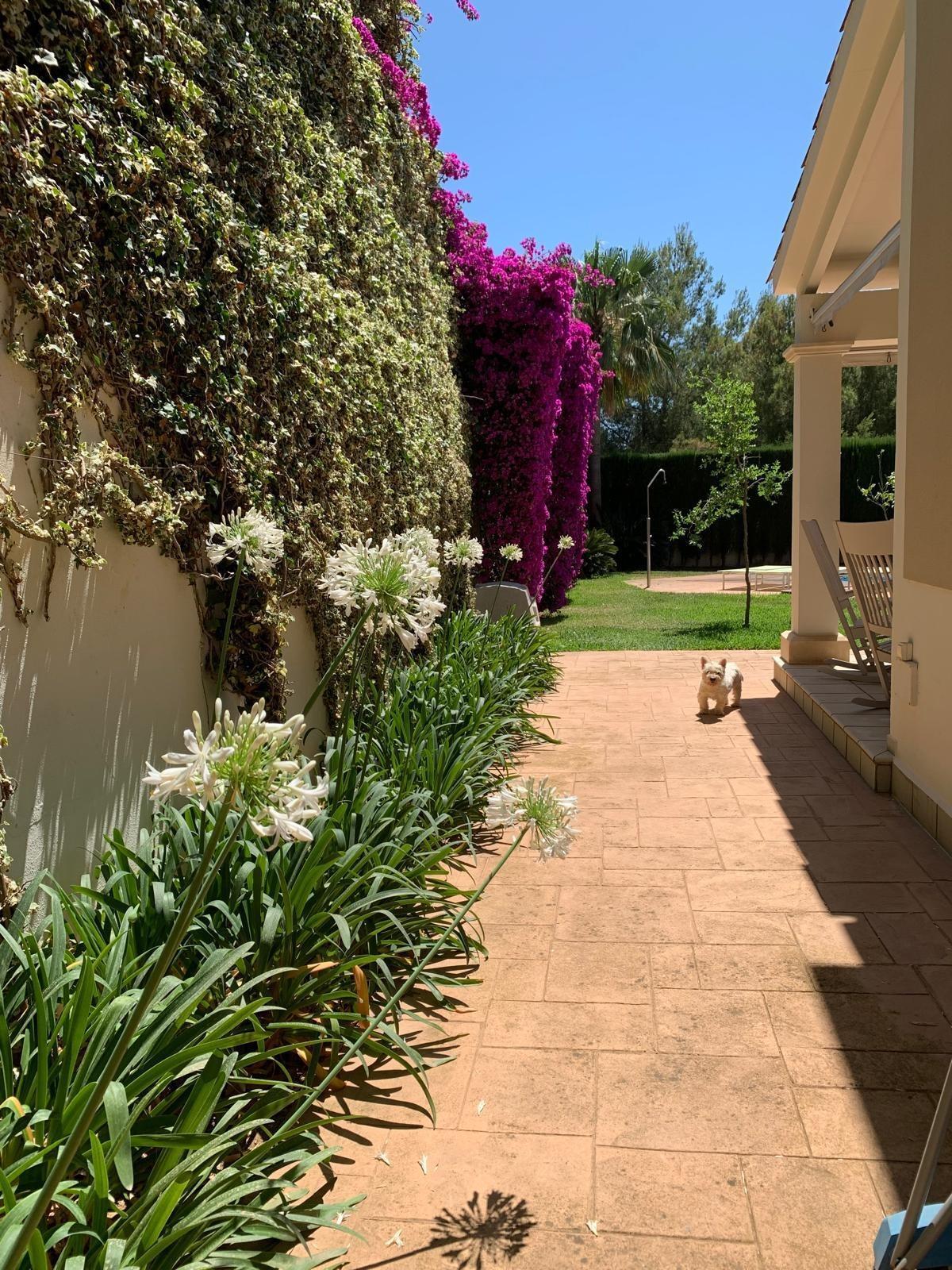 Foto 42