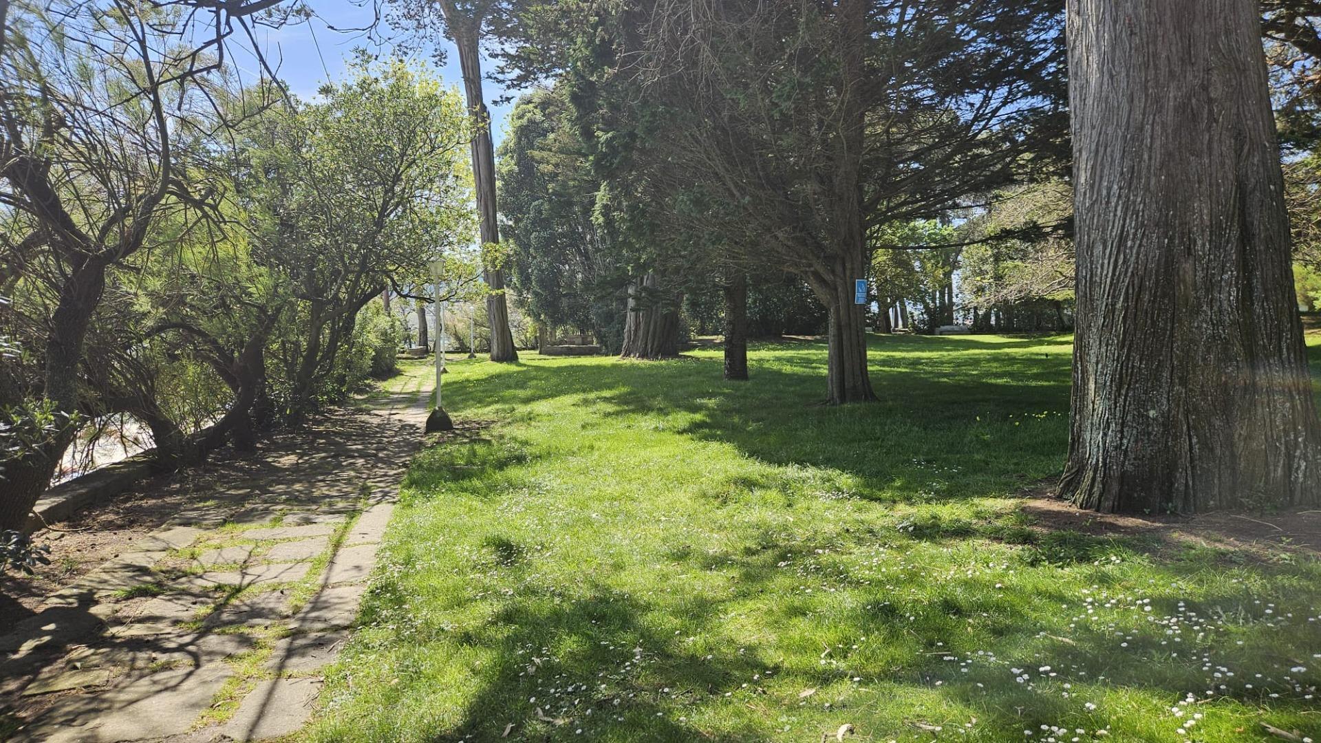 Pisos-Venta-Vigo-2172830-Foto-23