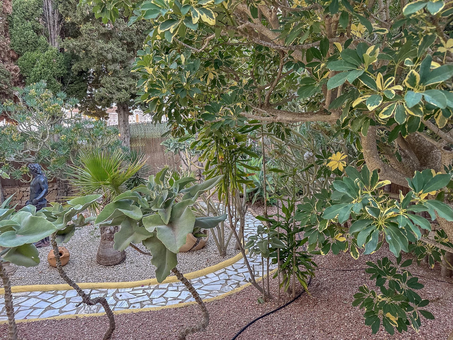 Casas o chalets-Venta-Benissa-1994570-Foto-49