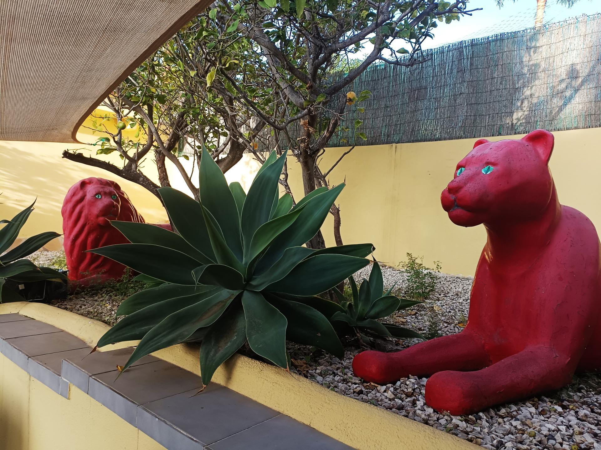 Casas o chalets-Venta-Benissa-1994570-Foto-54