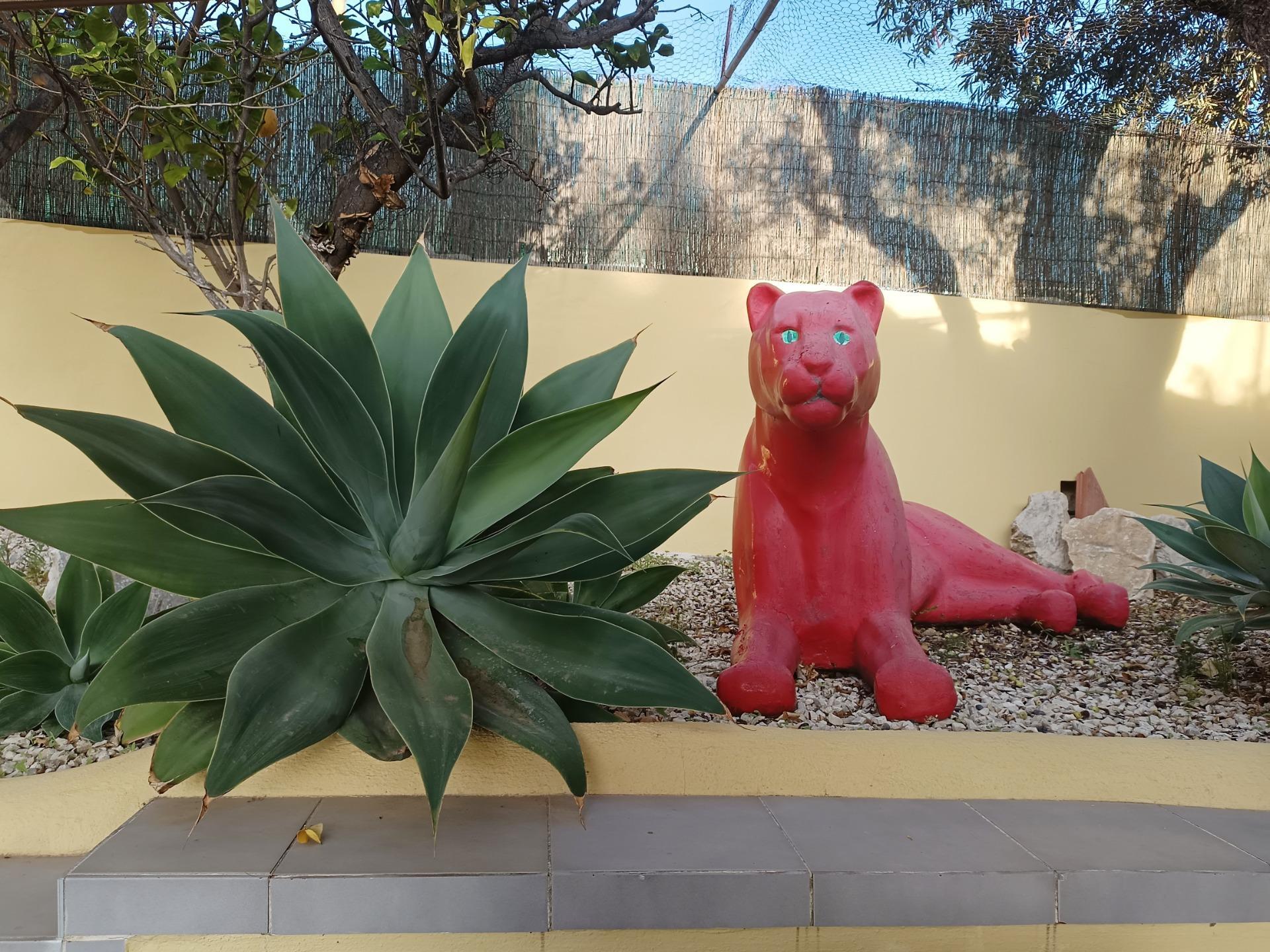 Casas o chalets-Venta-Benissa-1994570-Foto-53