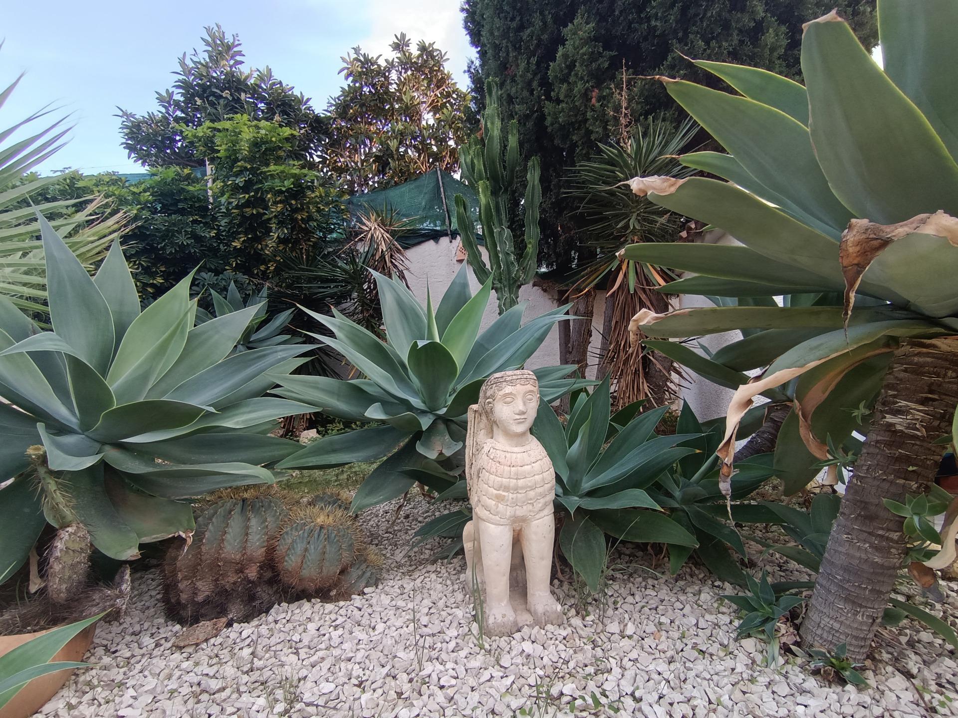 Casas o chalets-Venta-Benissa-1994570-Foto-64