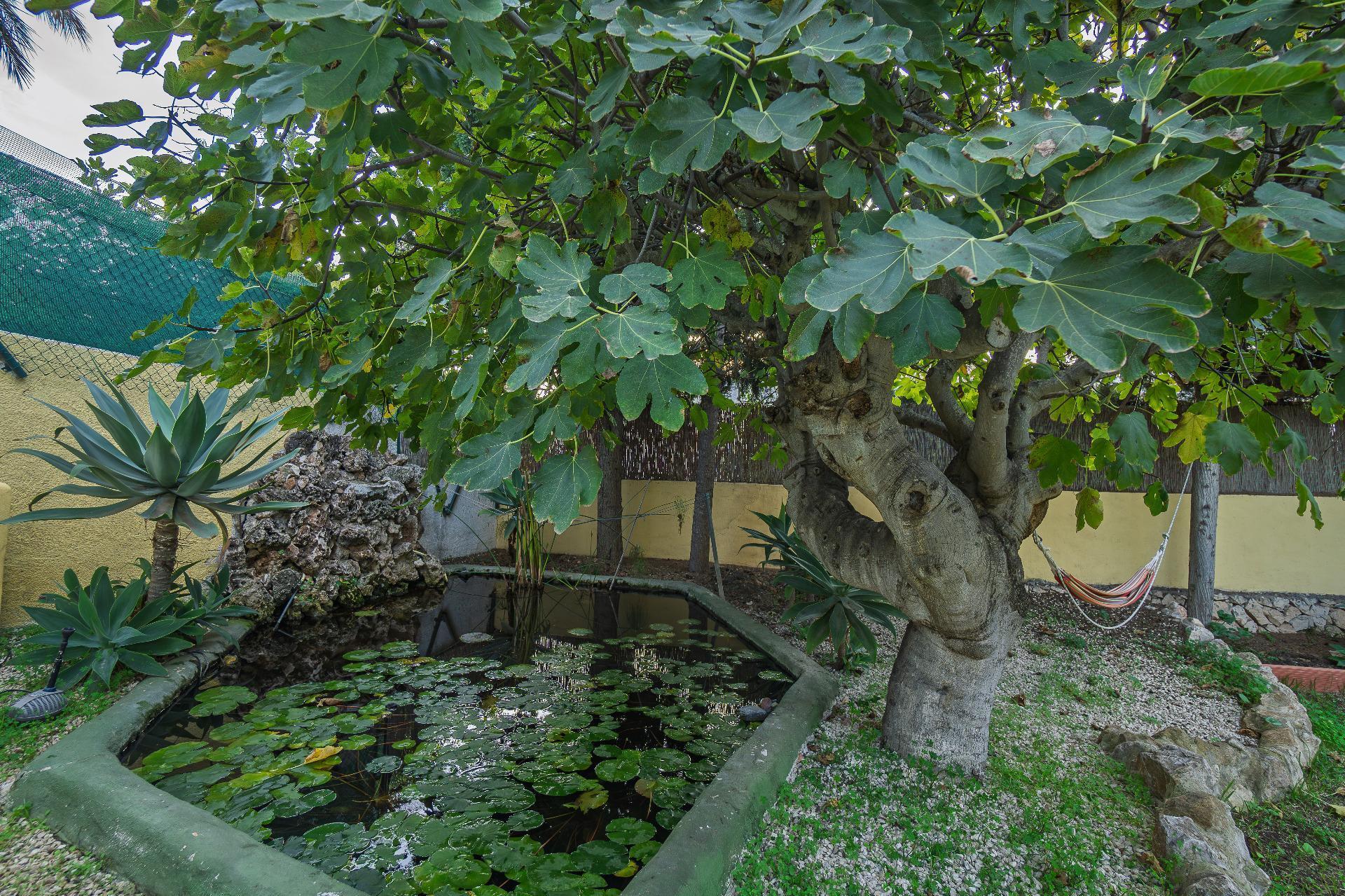 Casas o chalets-Venta-Benissa-1994570-Foto-69