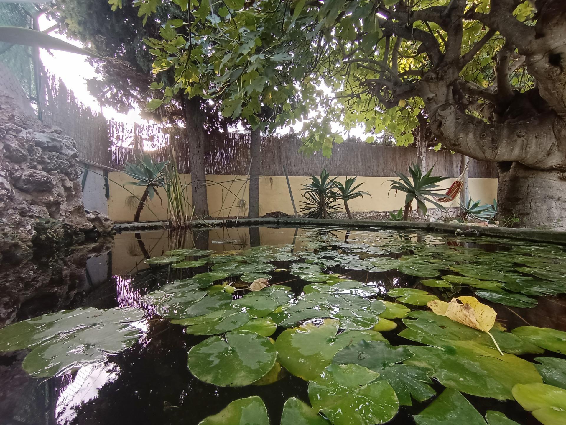 Casas o chalets-Venta-Benissa-1994570-Foto-71