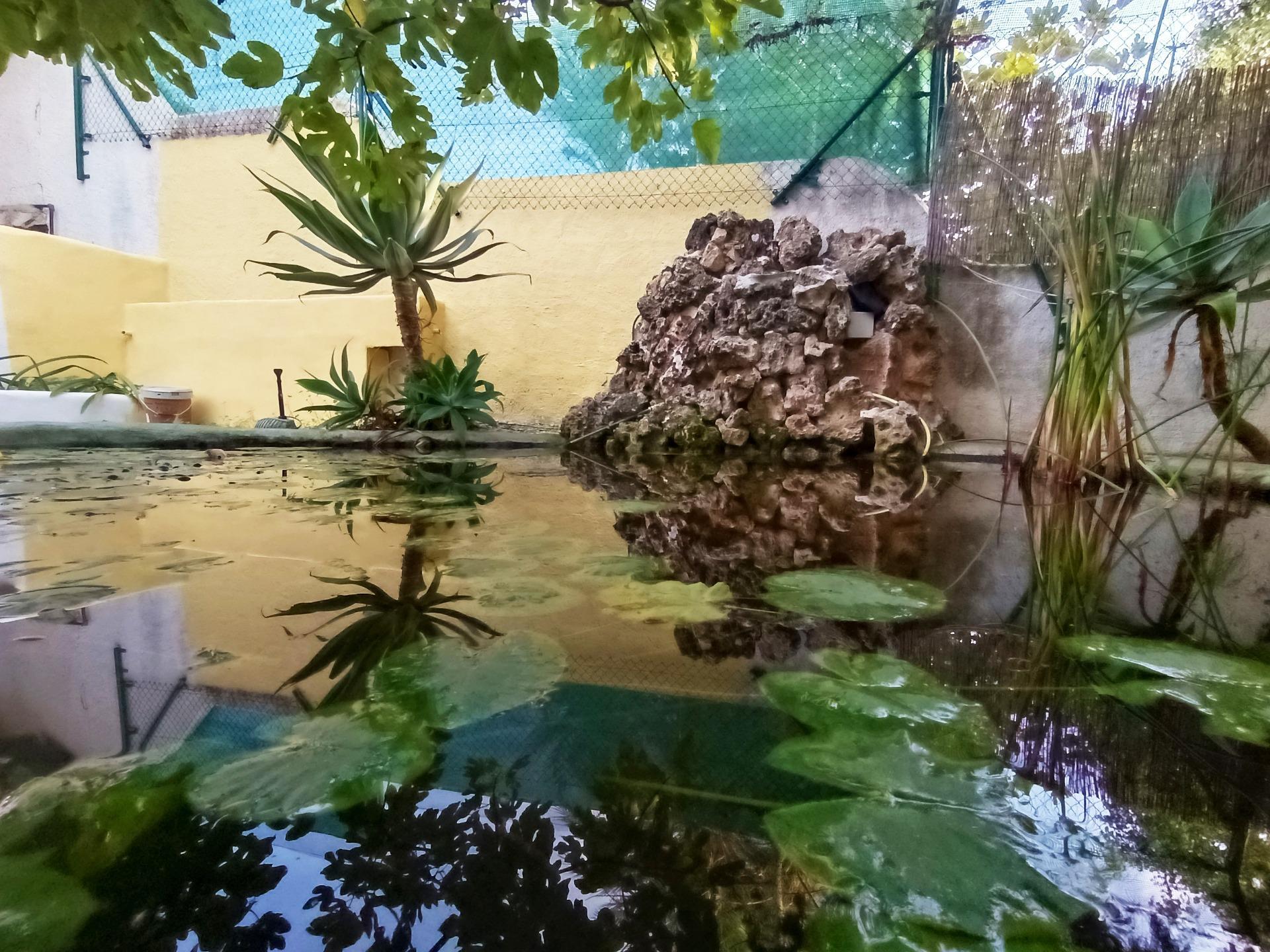 Casas o chalets-Venta-Benissa-1994570-Foto-72