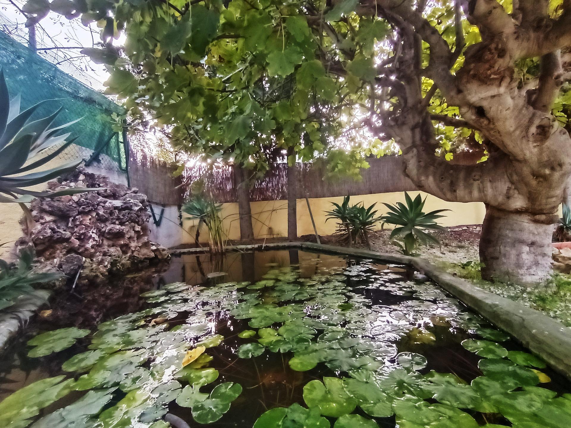 Casas o chalets-Venta-Benissa-1994570-Foto-70