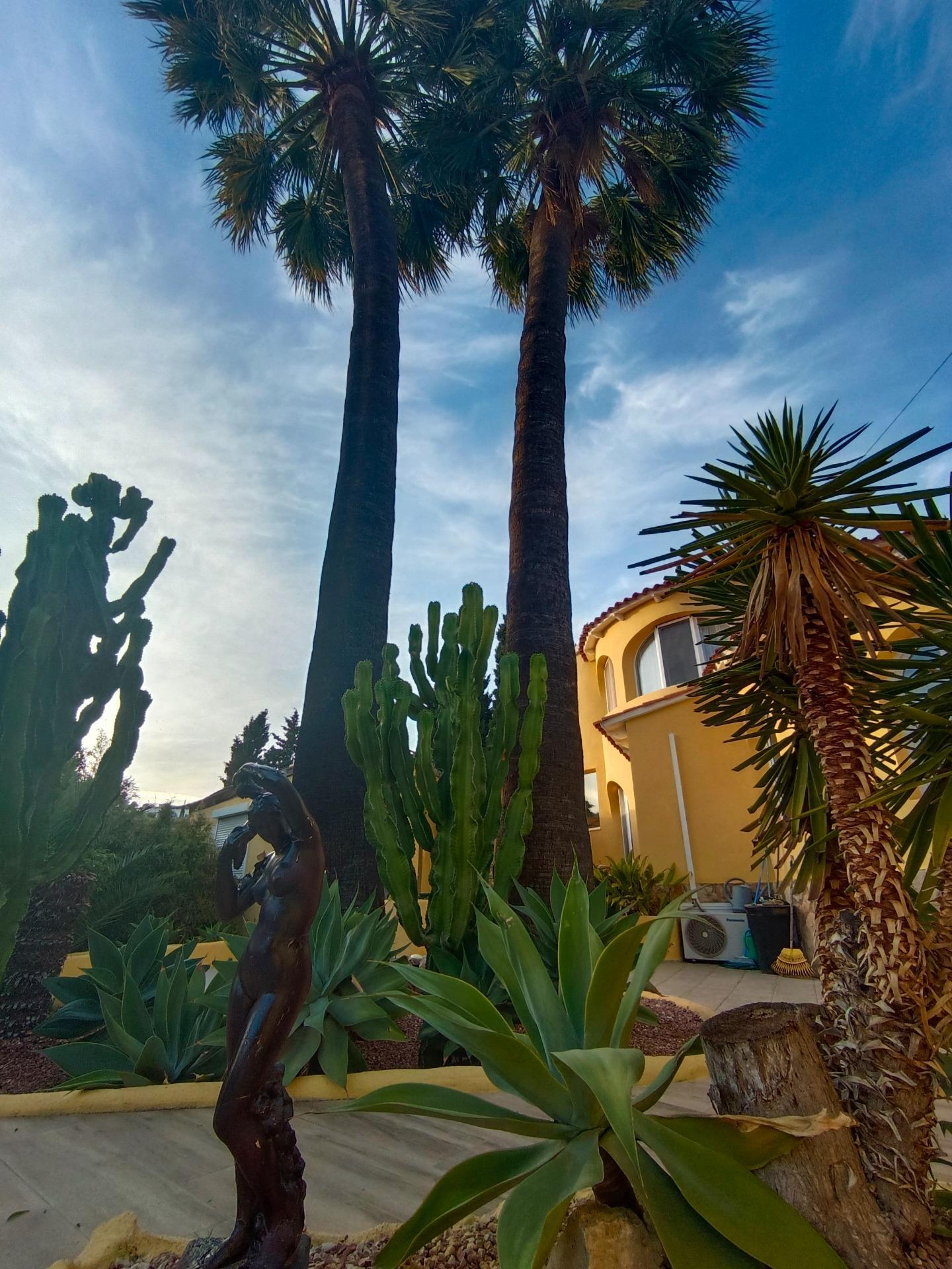 Casas o chalets-Venta-Benissa-1994570-Foto-76