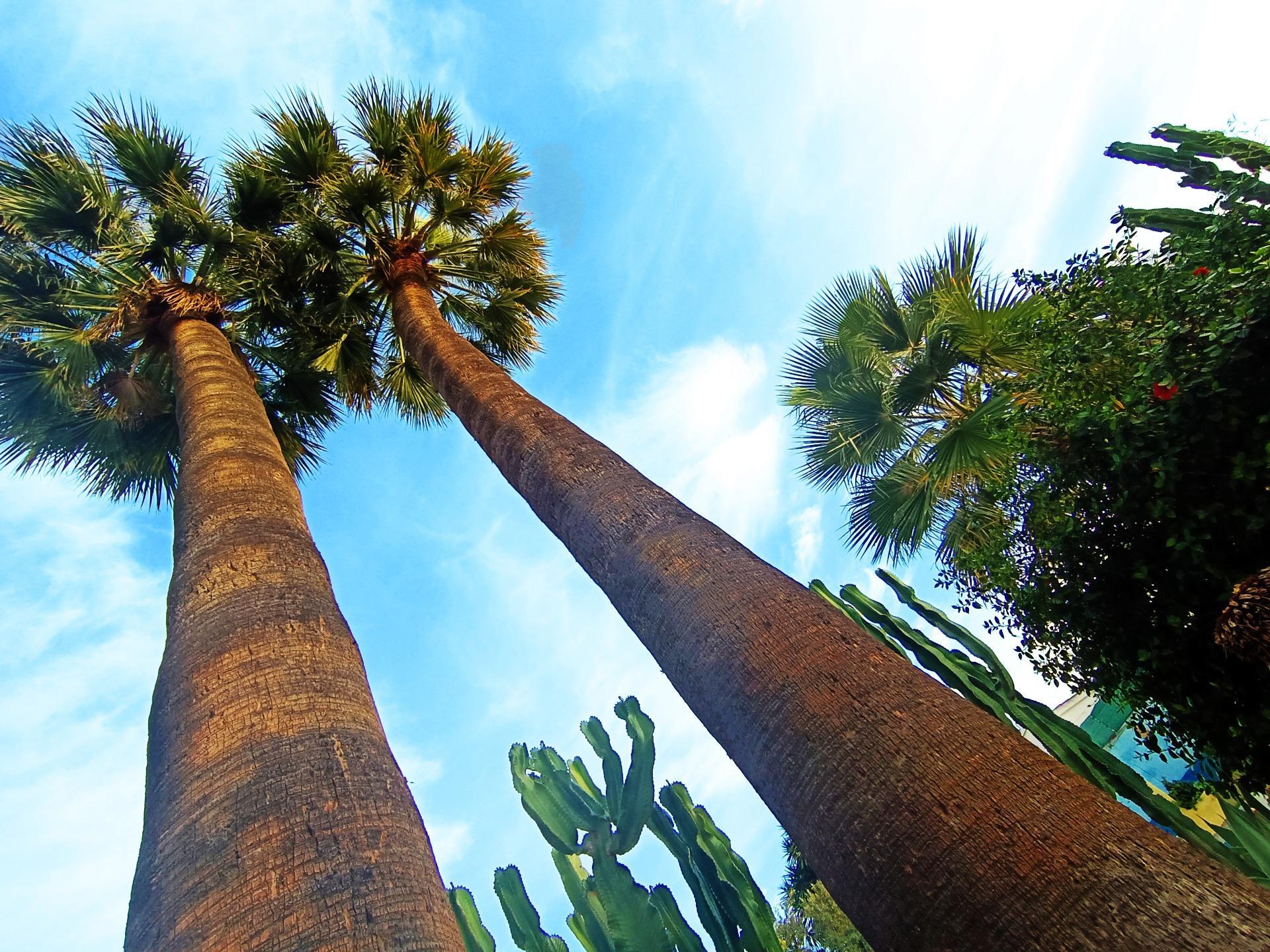 Casas o chalets-Venta-Benissa-1994570-Foto-77