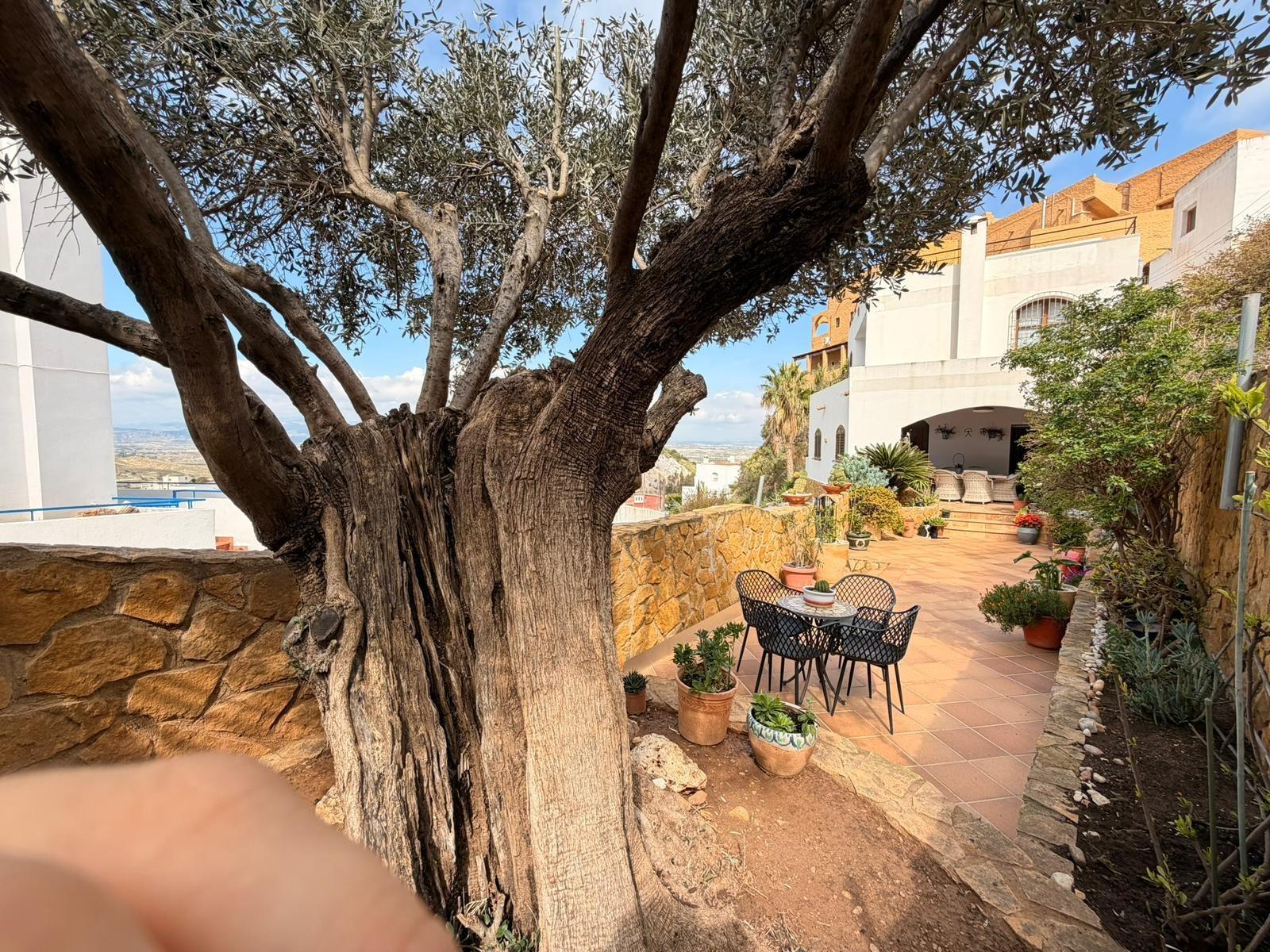 Casas o chalets-Venta-MojÃ¡car-2172866-Foto-6