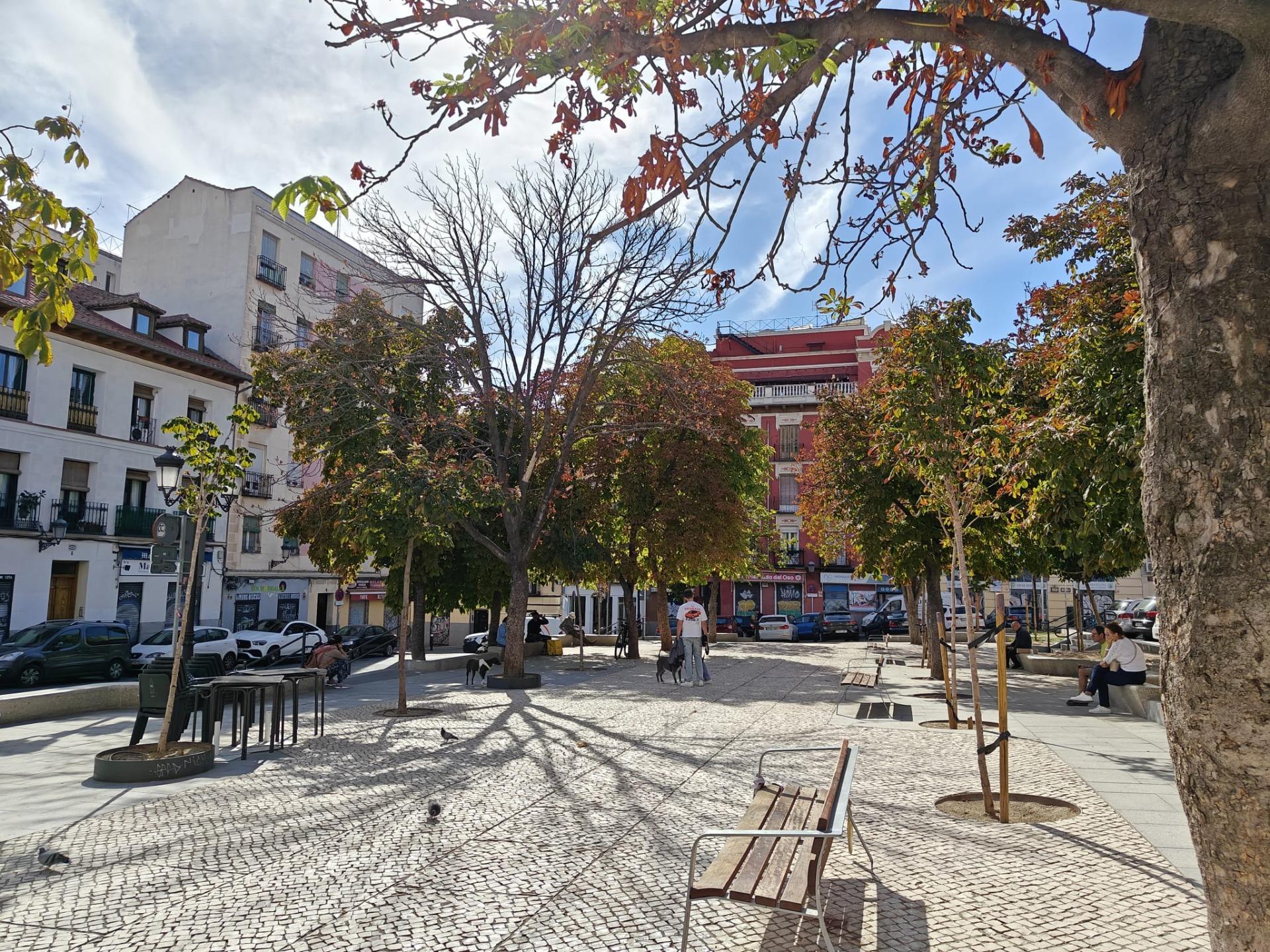 Negocios-Alquiler-Madrid-2153147-Foto-21