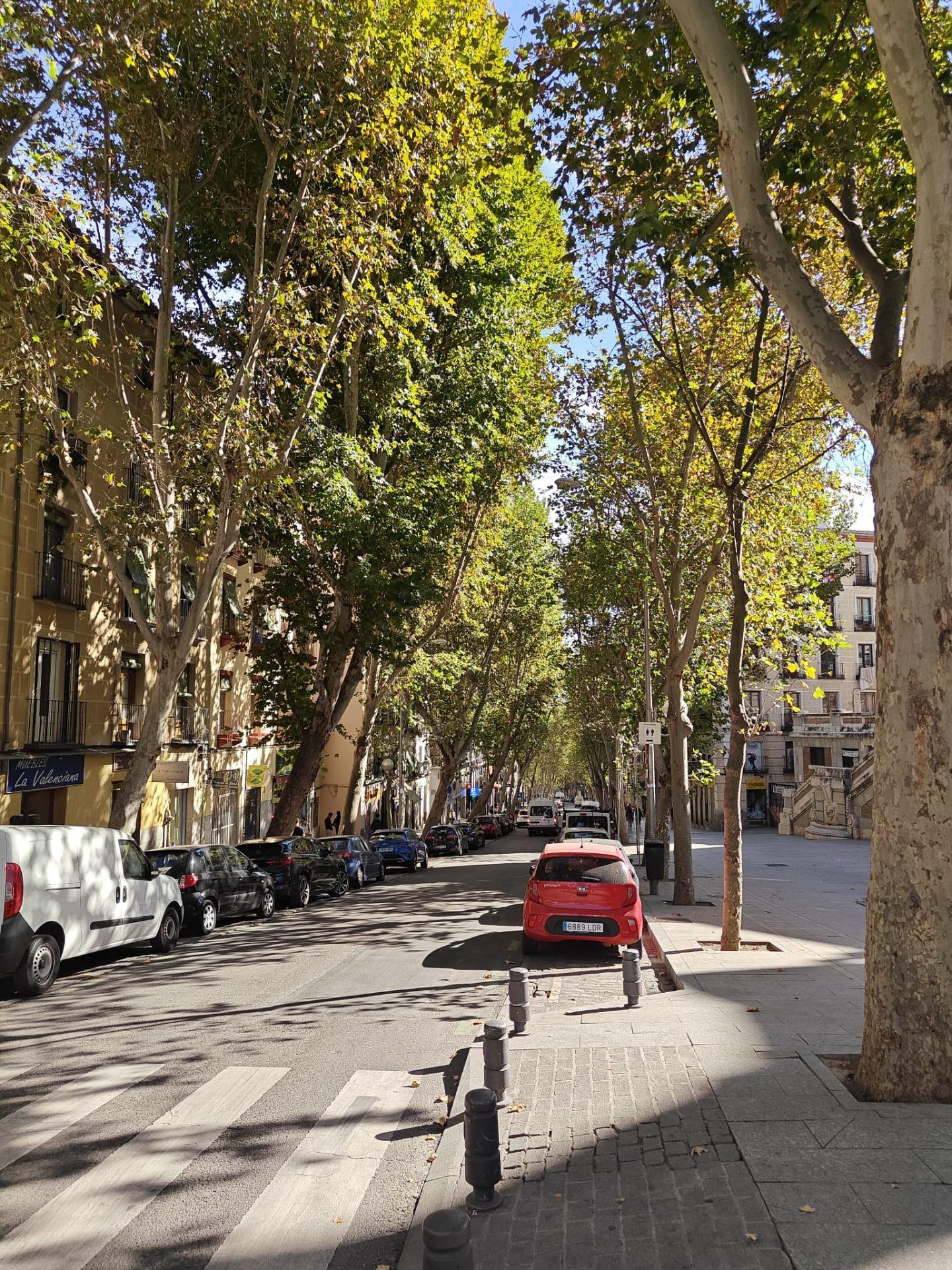 Negocios-Alquiler-Madrid-2153147-Foto-31