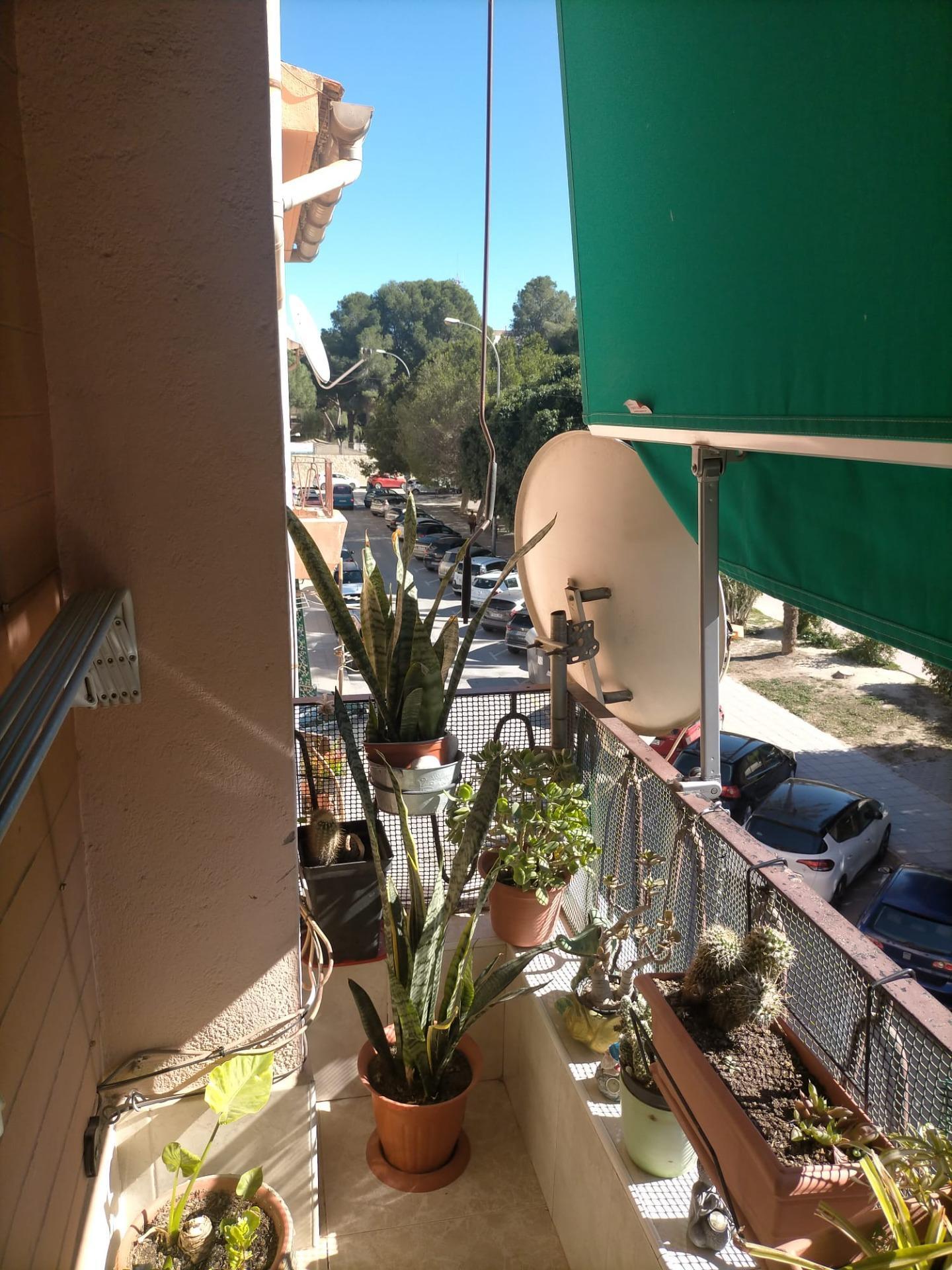 Pisos-Venta-Orihuela-2173647-Foto-2