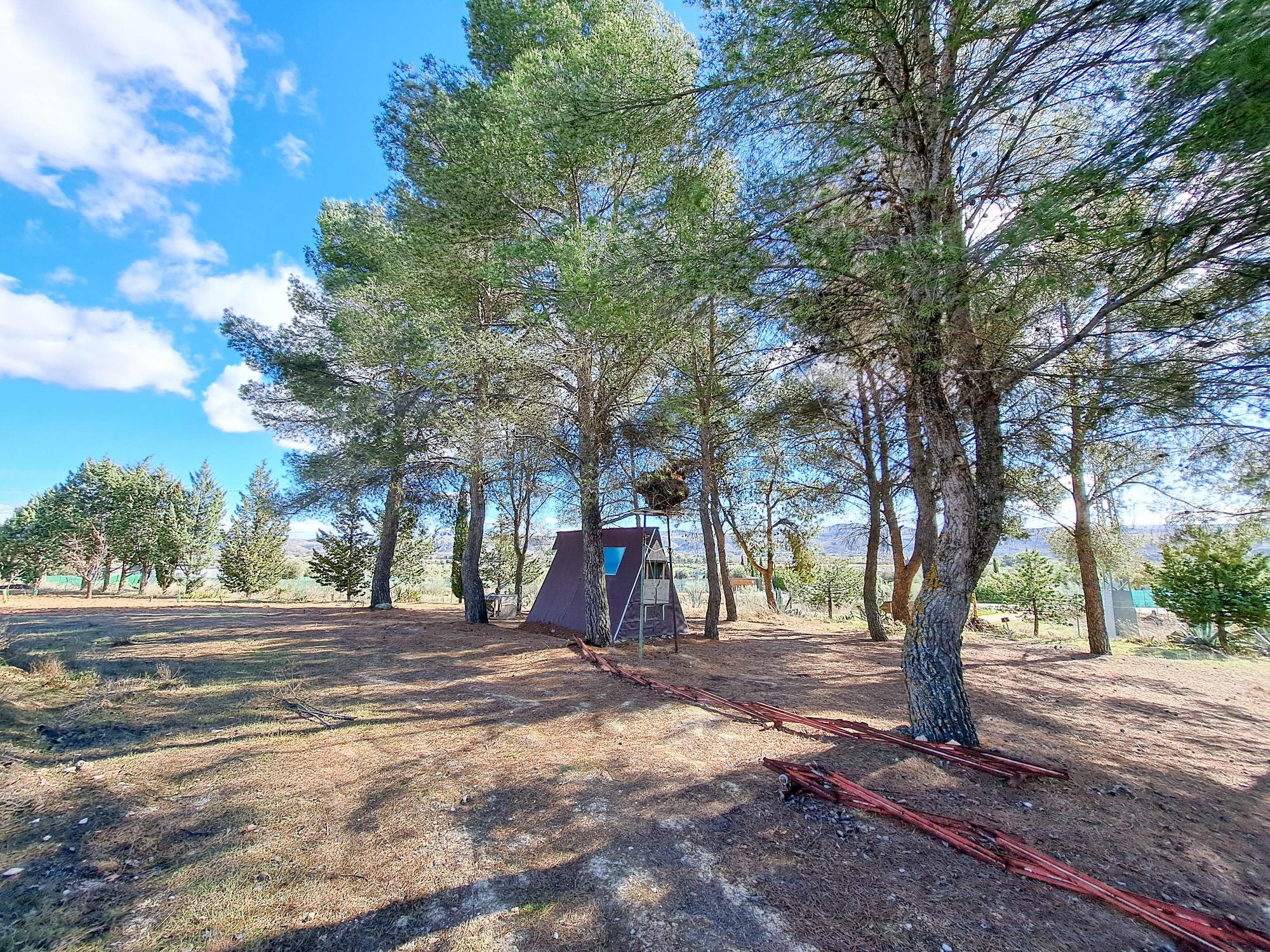 Casas o chalets-Venta-ChinchÃ³n-2173641-Foto-35