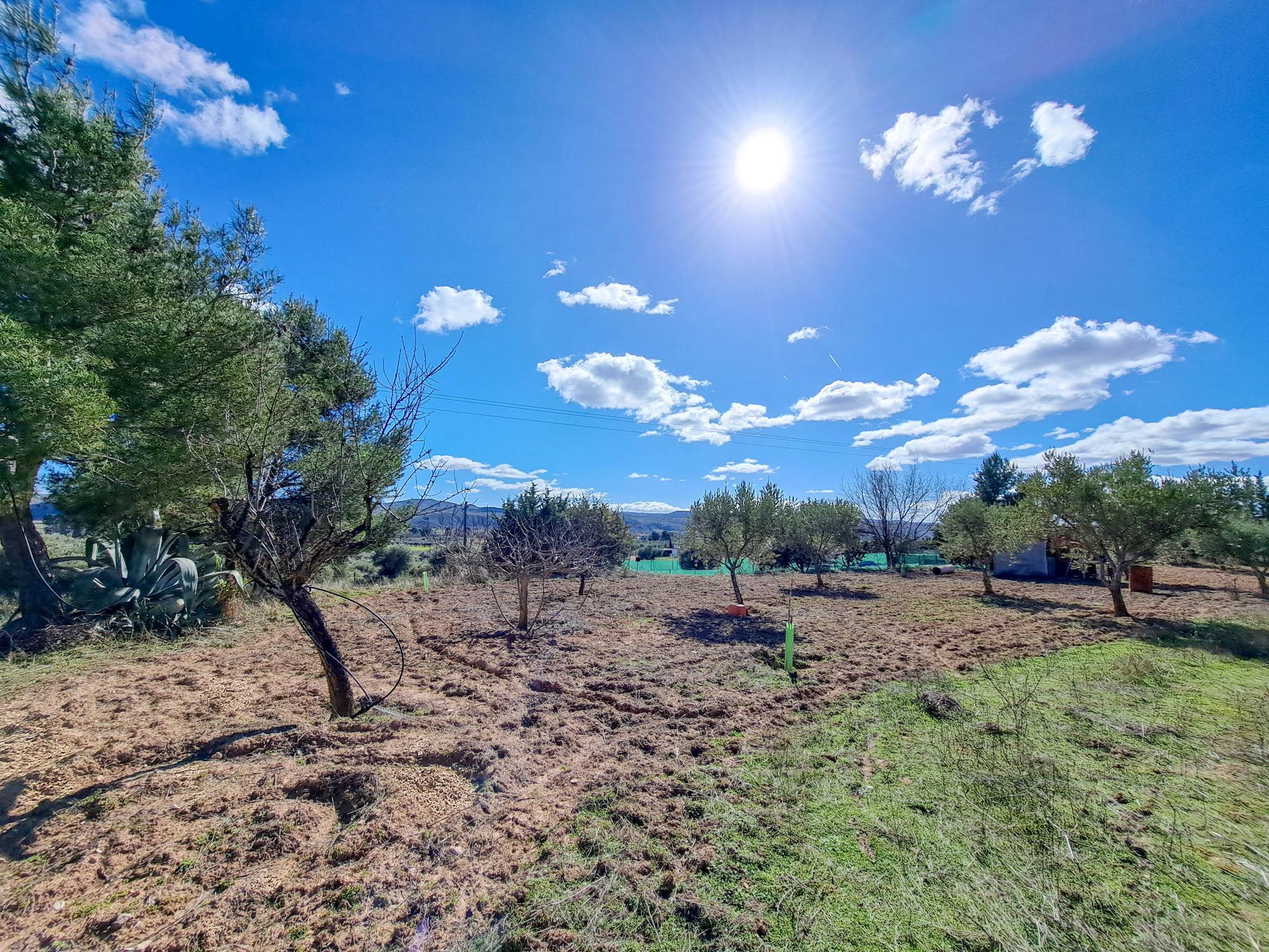 Casas o chalets-Venta-ChinchÃ³n-2173641-Foto-38