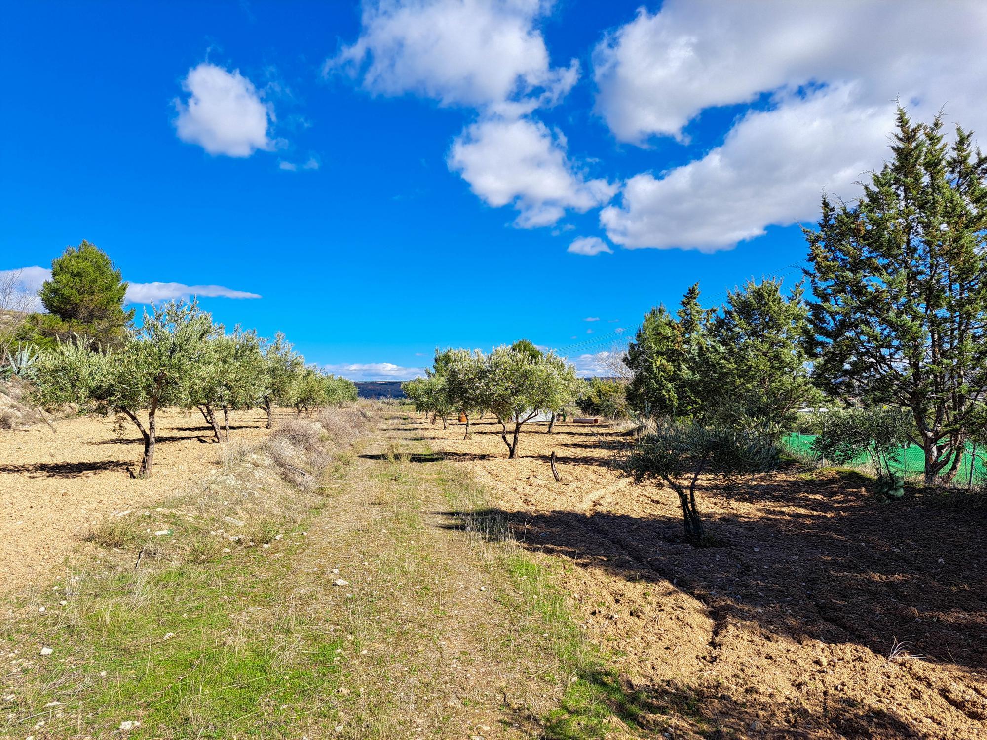 Casas o chalets-Venta-ChinchÃ³n-2173641-Foto-37