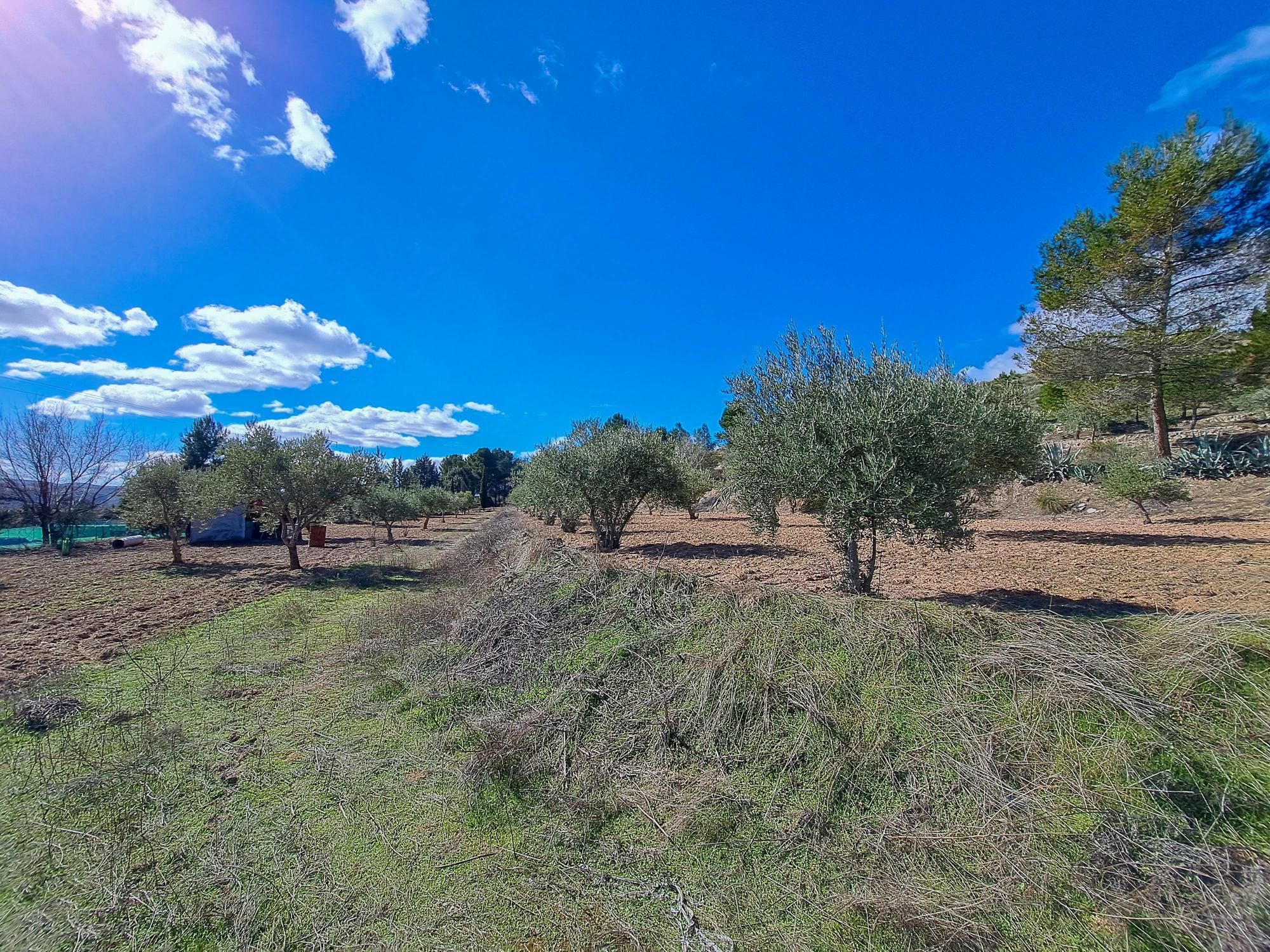 Casas o chalets-Venta-ChinchÃ³n-2173641-Foto-39