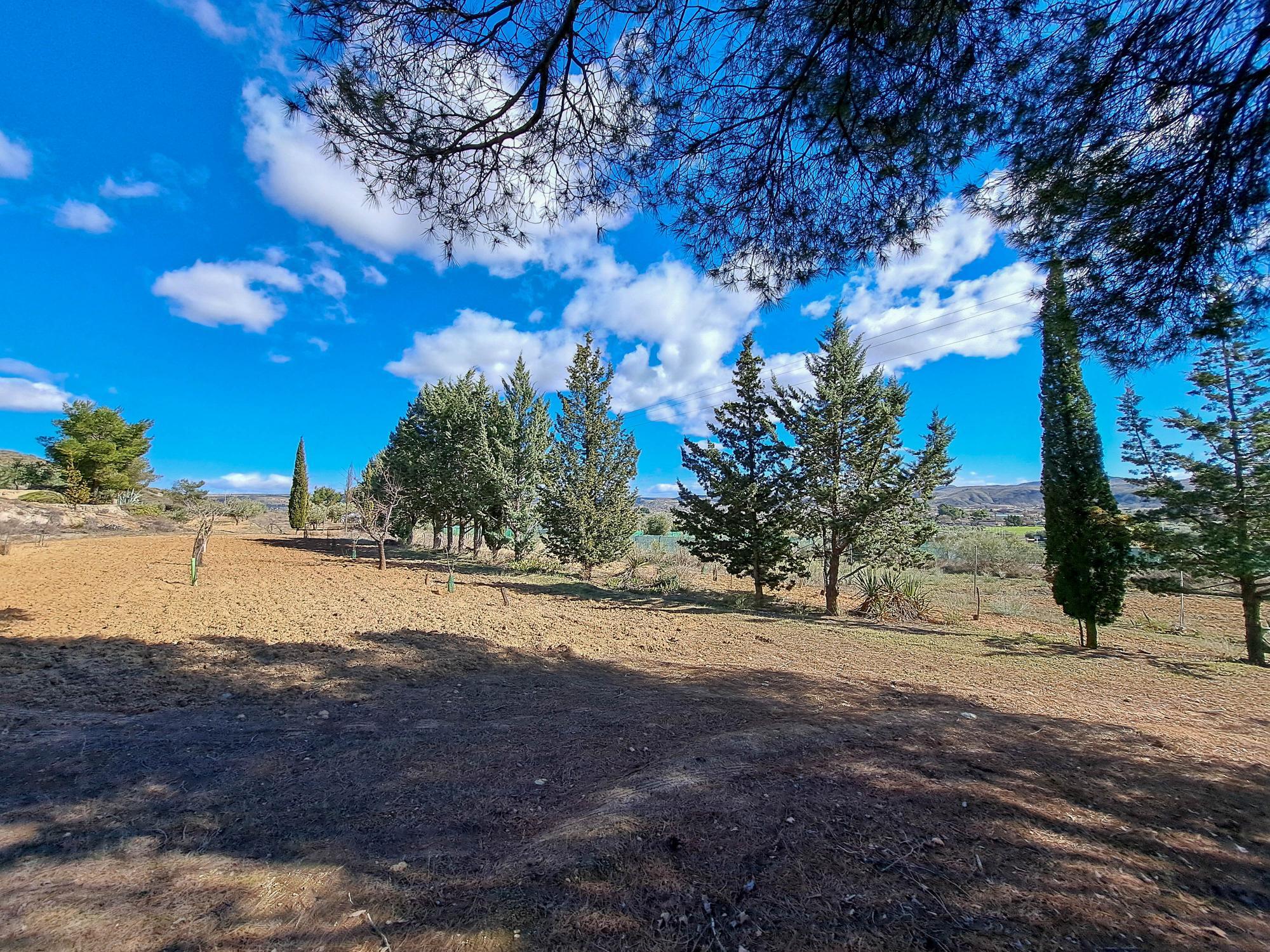 Casas o chalets-Venta-ChinchÃ³n-2173641-Foto-36