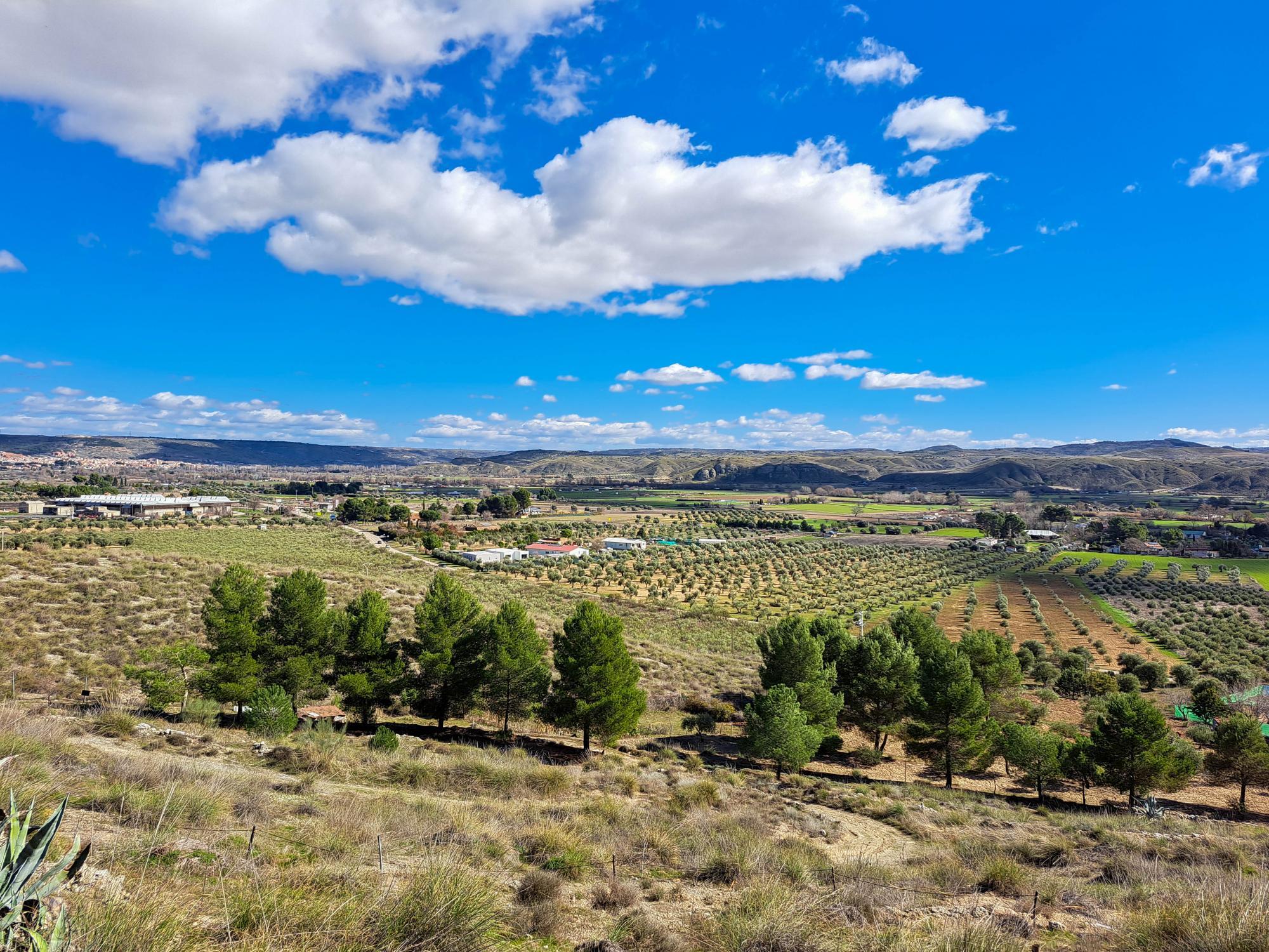 Casas o chalets-Venta-ChinchÃ³n-2173641-Foto-45