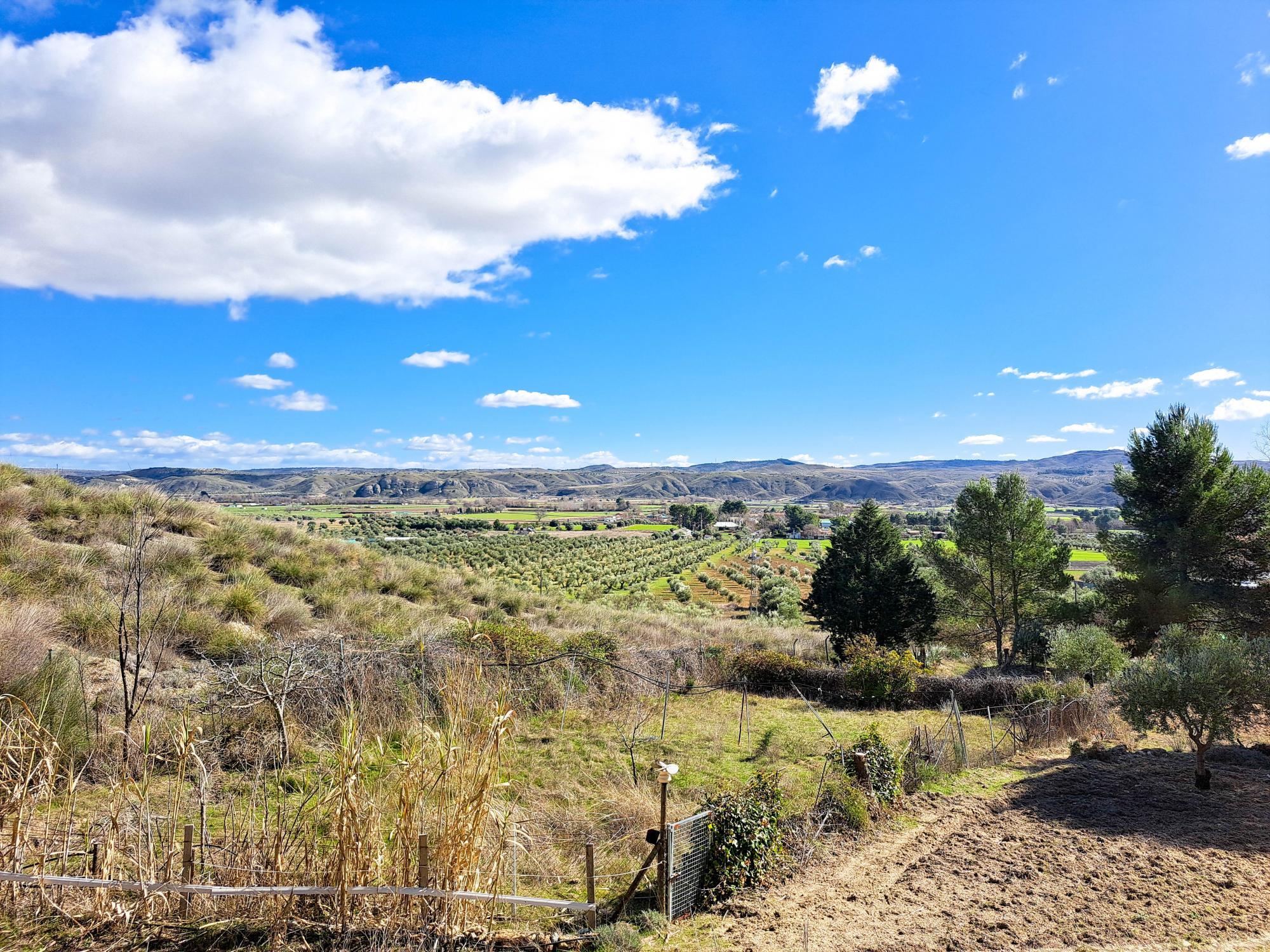 Casas o chalets-Venta-ChinchÃ³n-2173641-Foto-41