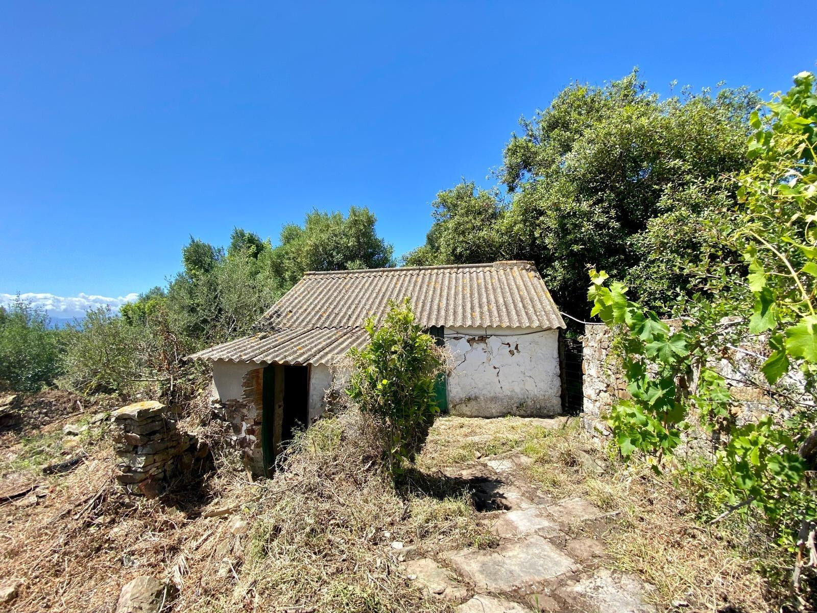 Fincas y solares-Venta-Tarifa-1830756-Foto-11