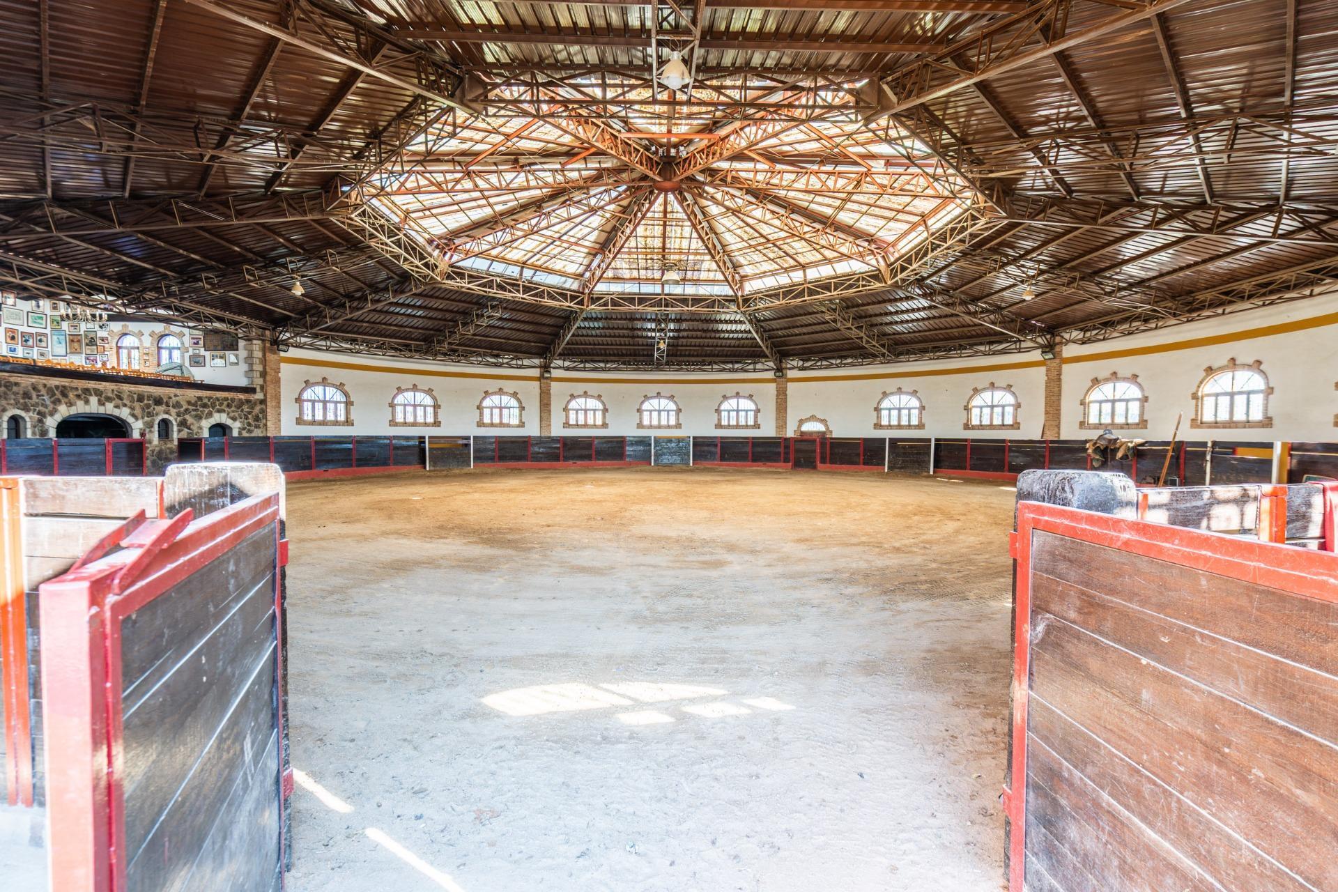 Fincas y solares-Venta-Robledo de Chavela-2173650-Foto-14