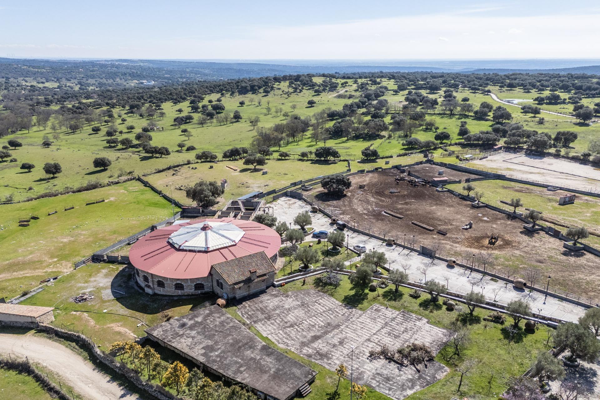 Fincas y solares-Venta-Robledo de Chavela-2173650-Foto-30