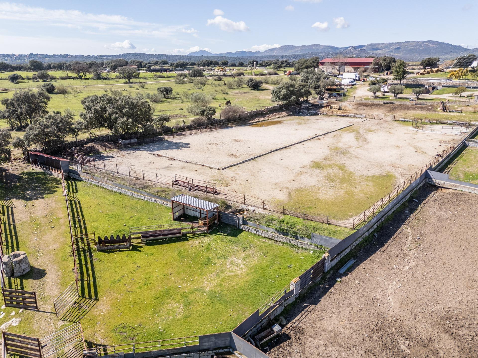 Fincas y solares-Venta-Robledo de Chavela-2173650-Foto-32