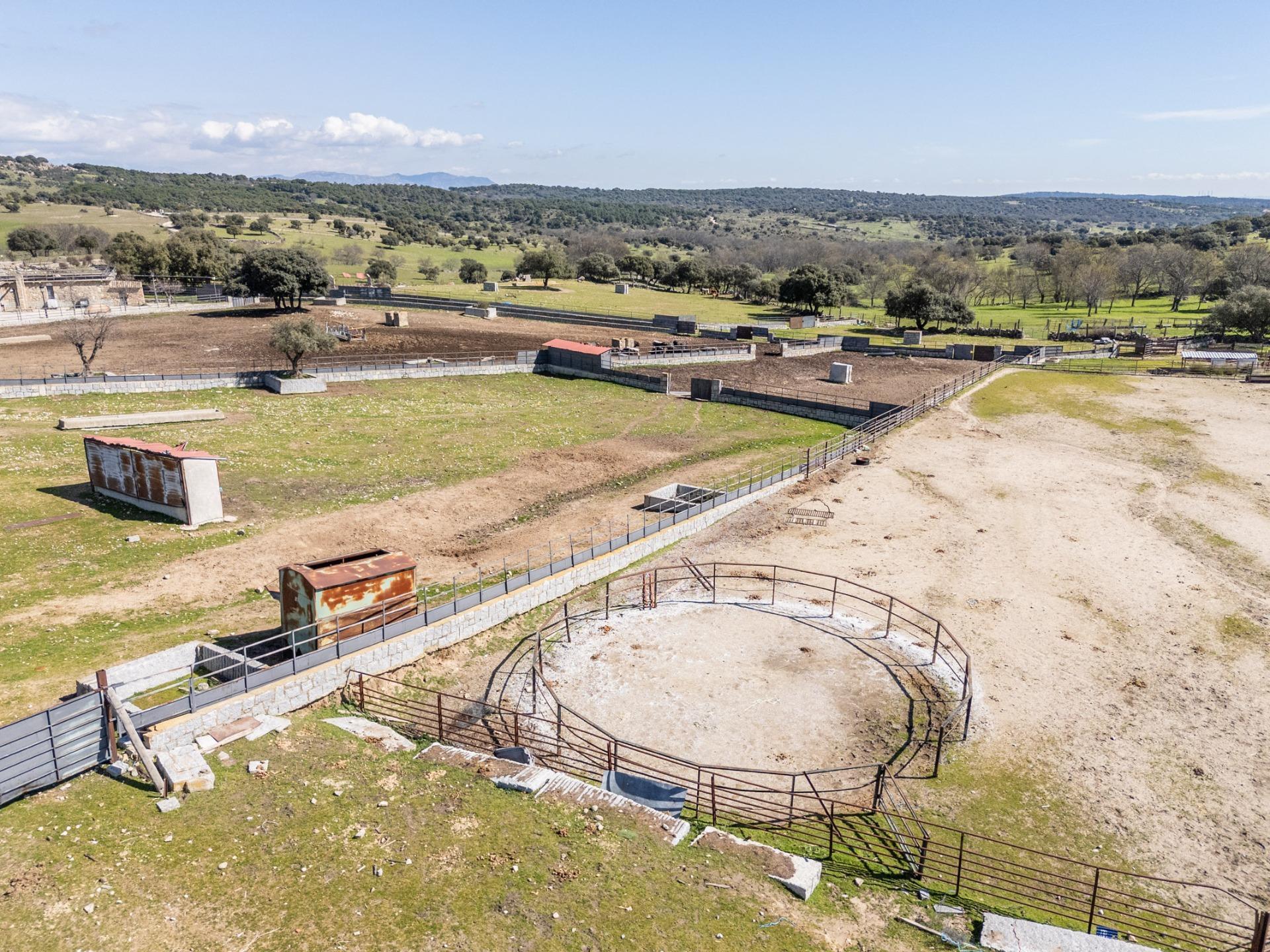 Fincas y solares-Venta-Robledo de Chavela-2173650-Foto-33