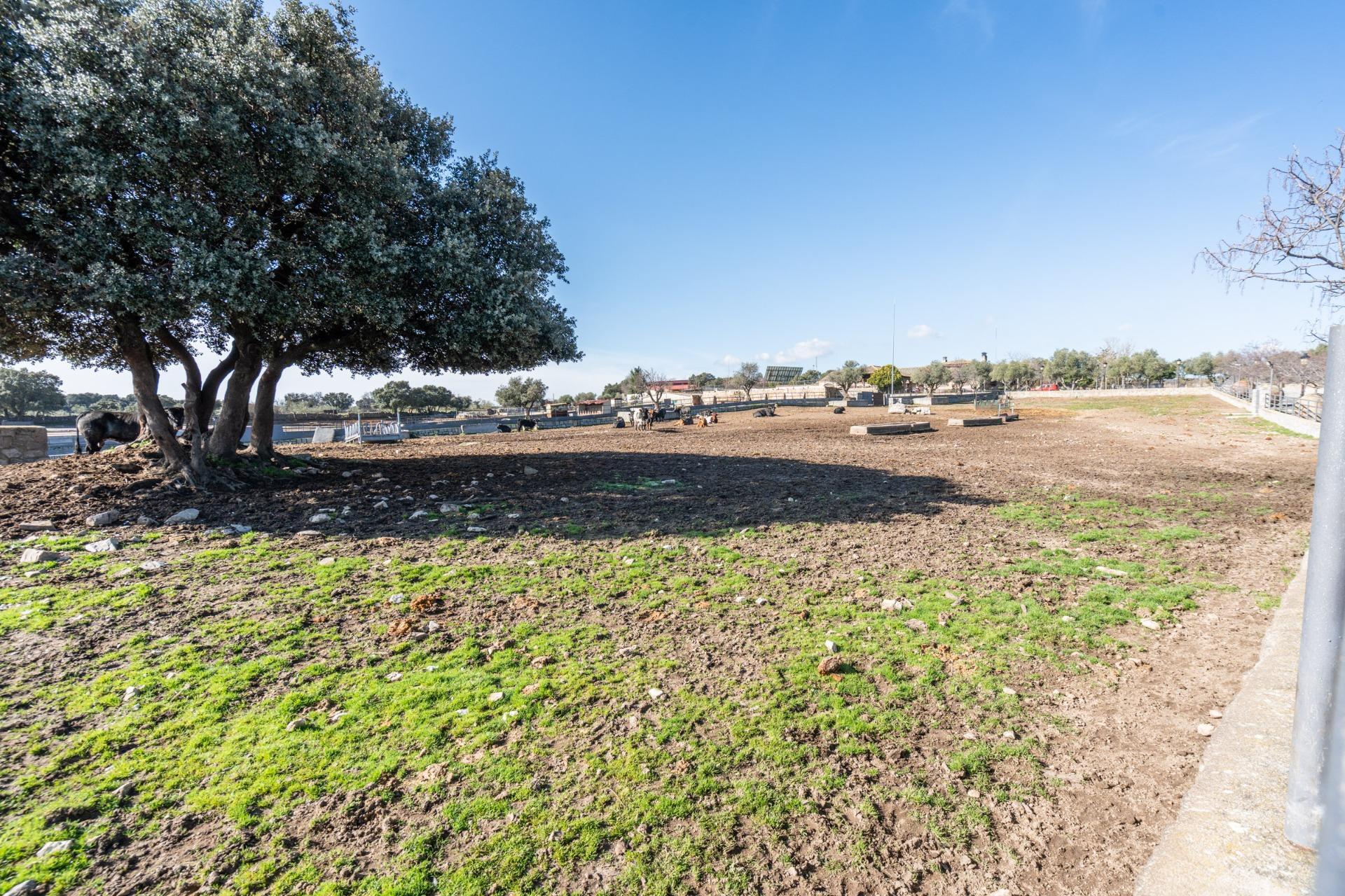 Fincas y solares-Venta-Robledo de Chavela-2173650-Foto-37